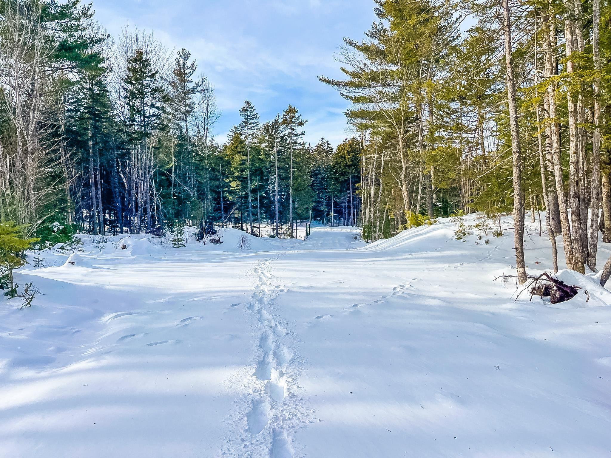 $55,000.00: Lot 9 Conquerall Road, Conquerall Bank