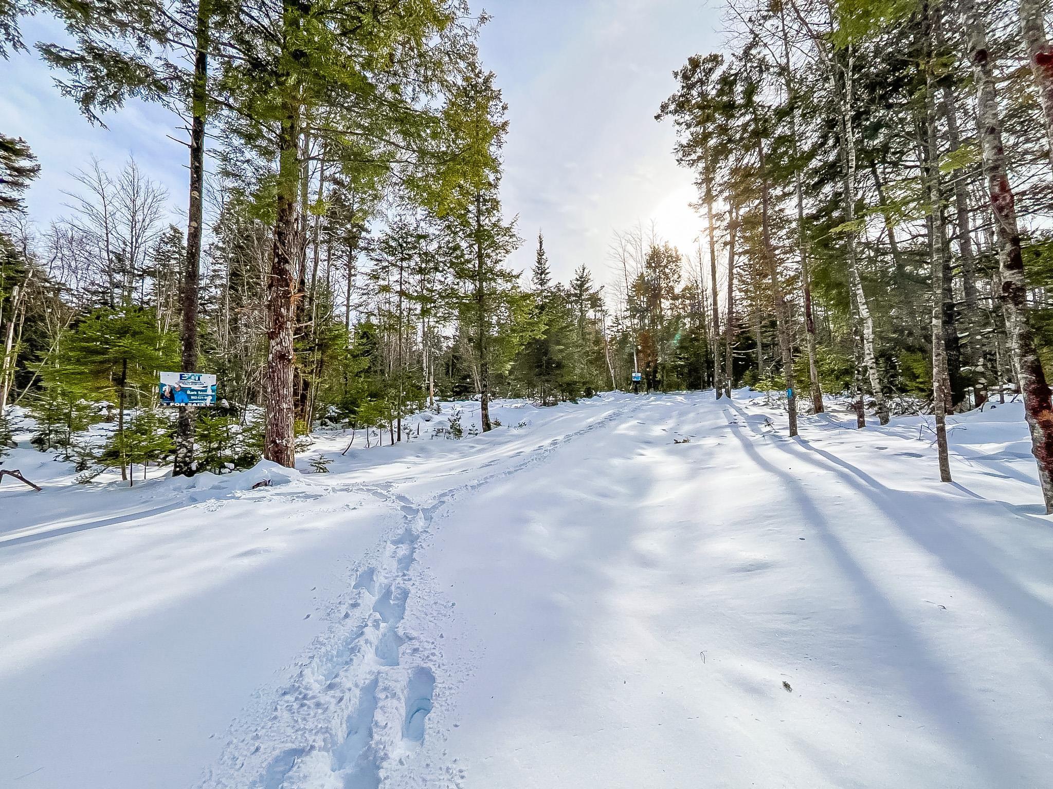 $55,000.00: Lot 9 Conquerall Road, Conquerall Bank