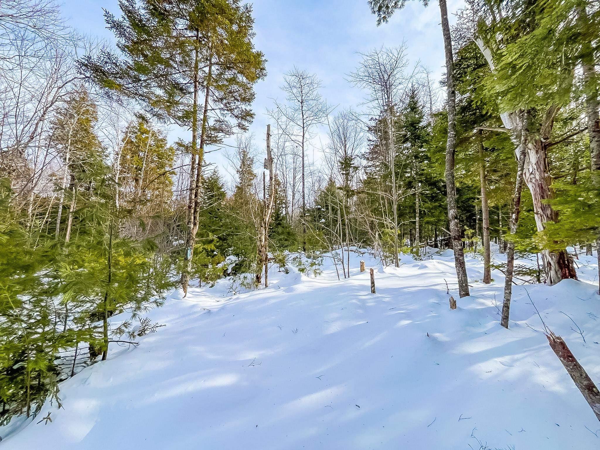 $55,000.00: Lot 9 Conquerall Road, Conquerall Bank