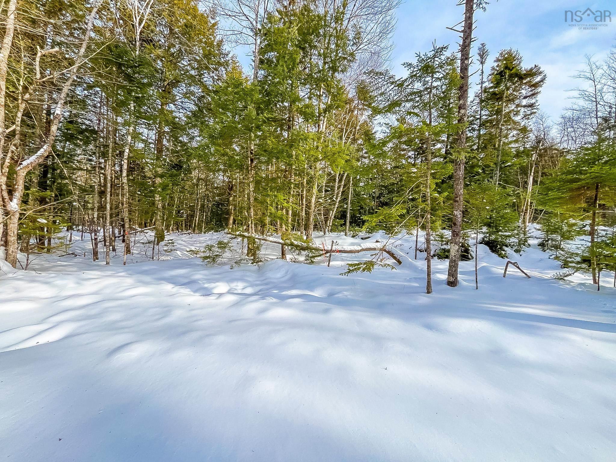 $55,000.00: Lot 9 Conquerall Road, Conquerall Bank