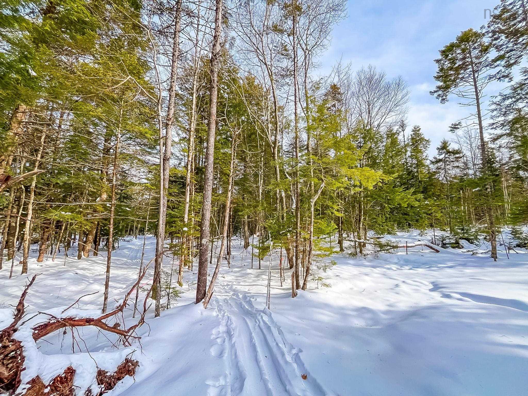 $55,000.00: Lot 9 Conquerall Road, Conquerall Bank