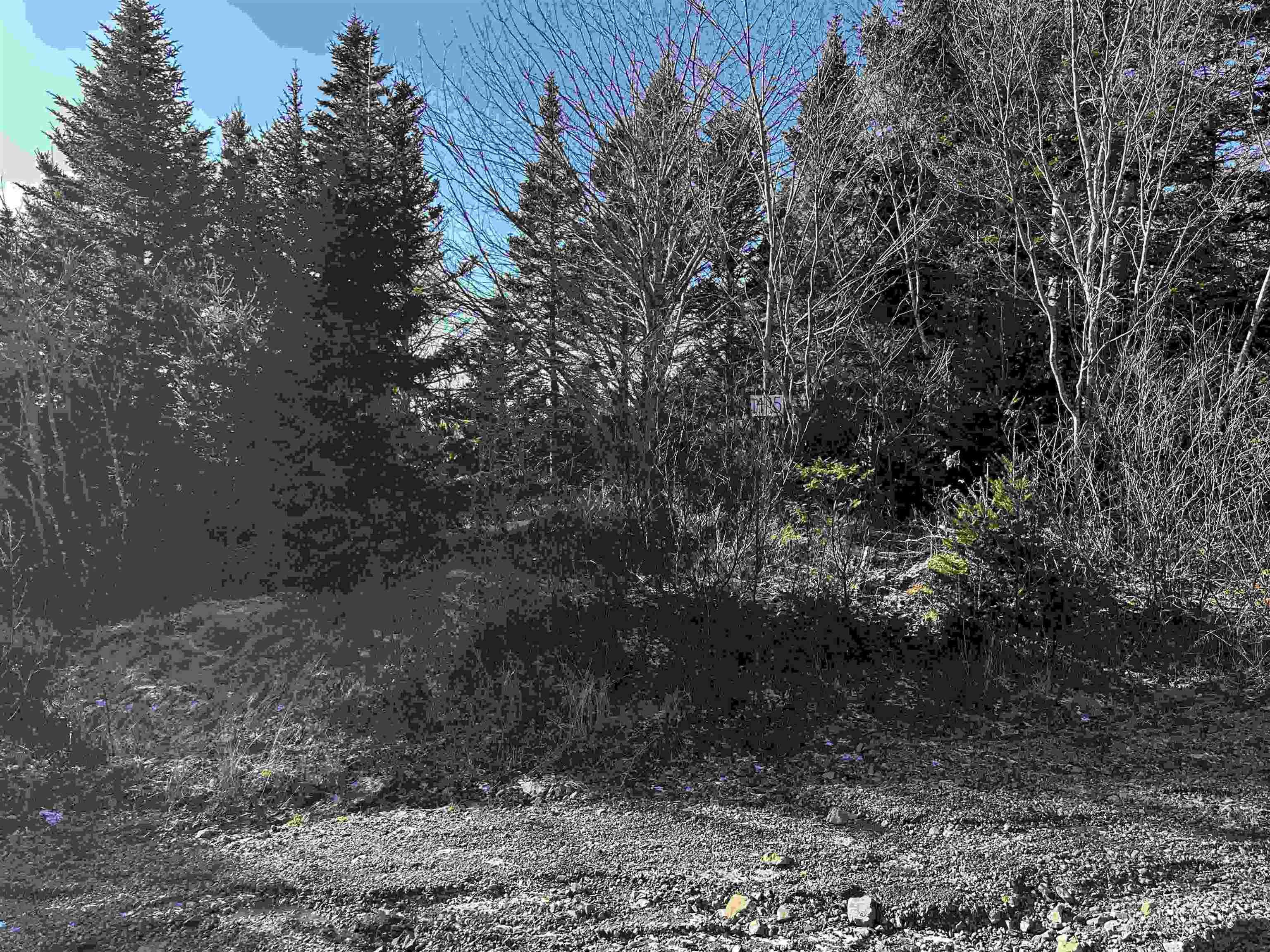 $46,500.00: Old Monastery Road, North Riverside