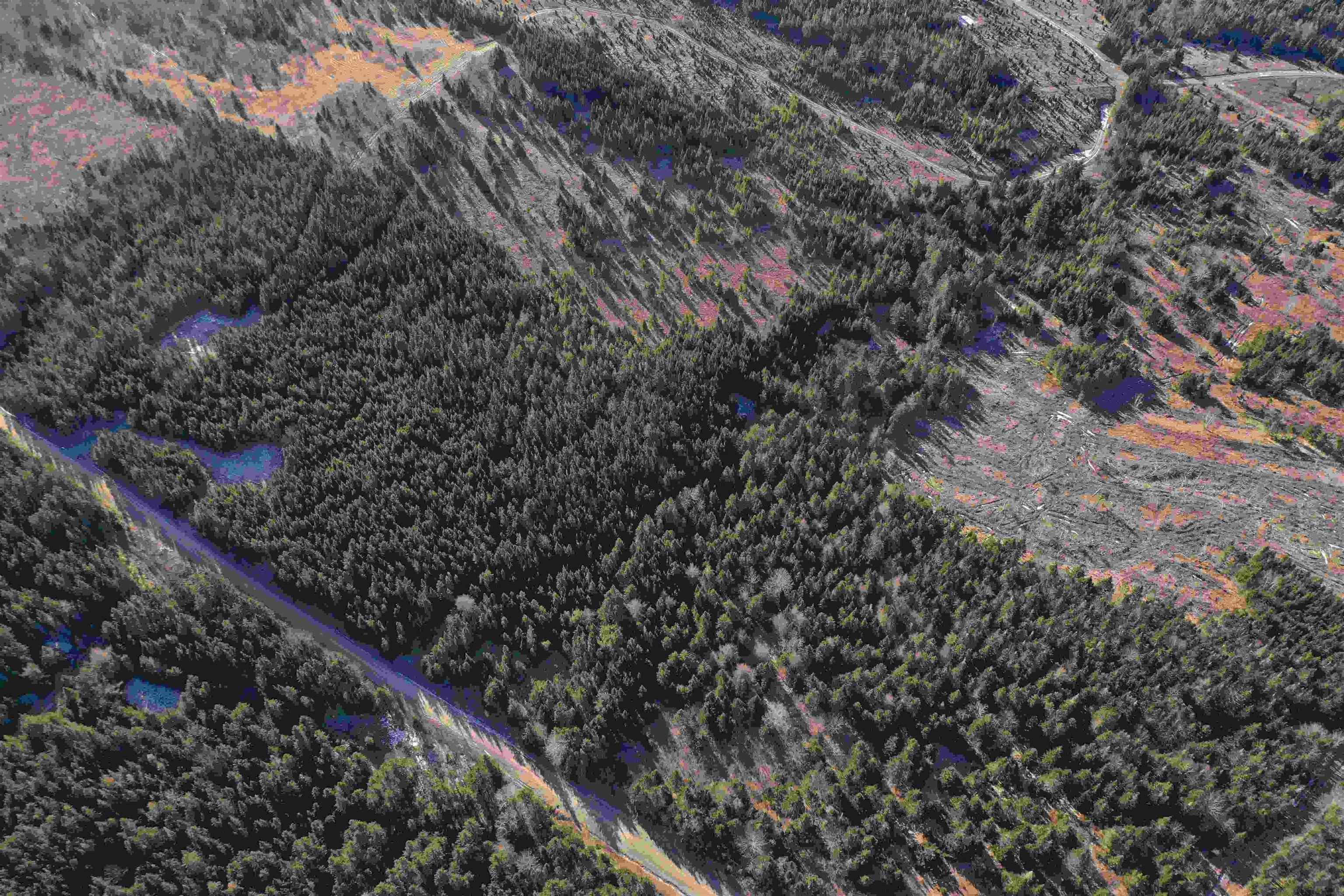 $46,500.00: Old Monastery Road, North Riverside