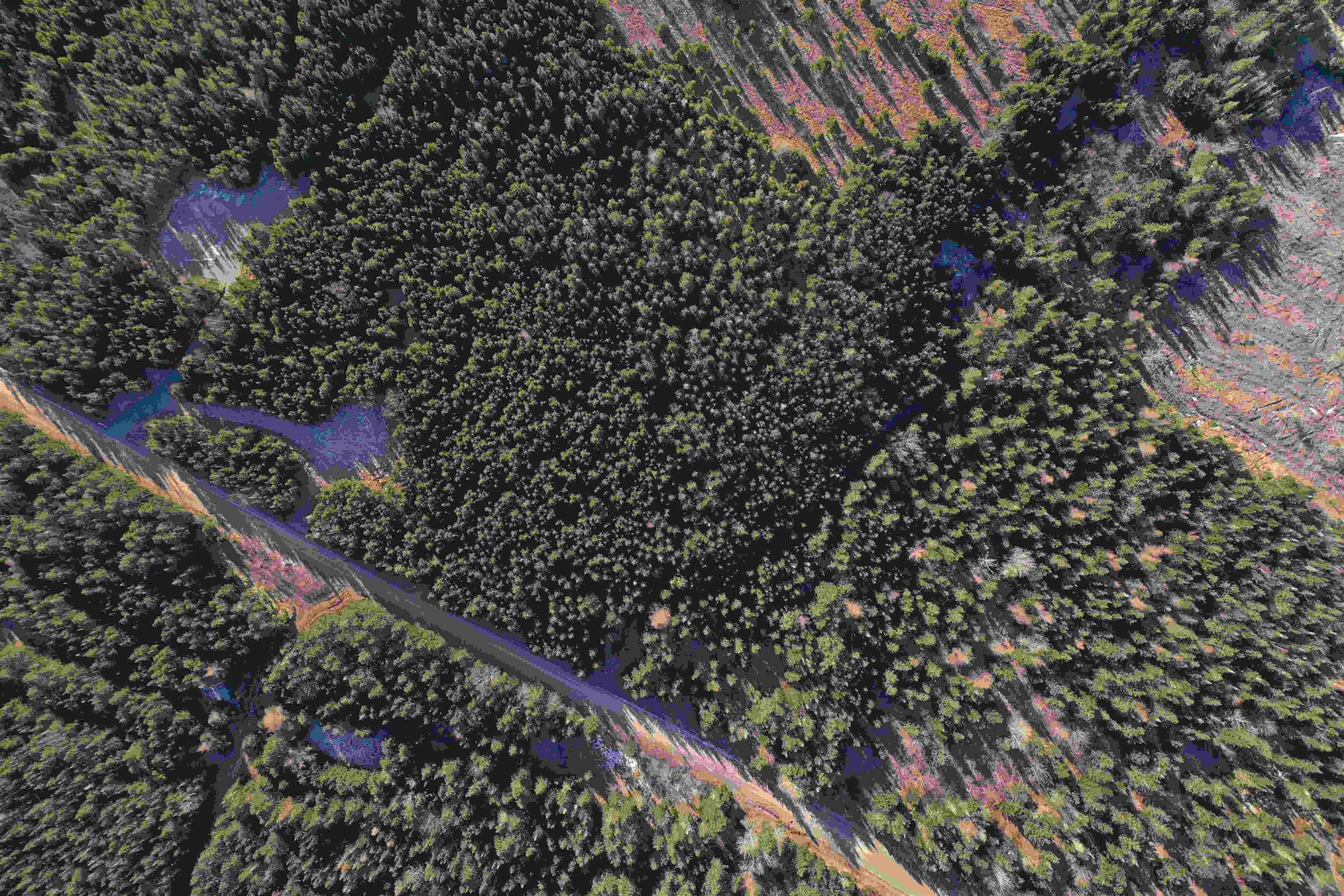 $46,500.00: Old Monastery Road, North Riverside