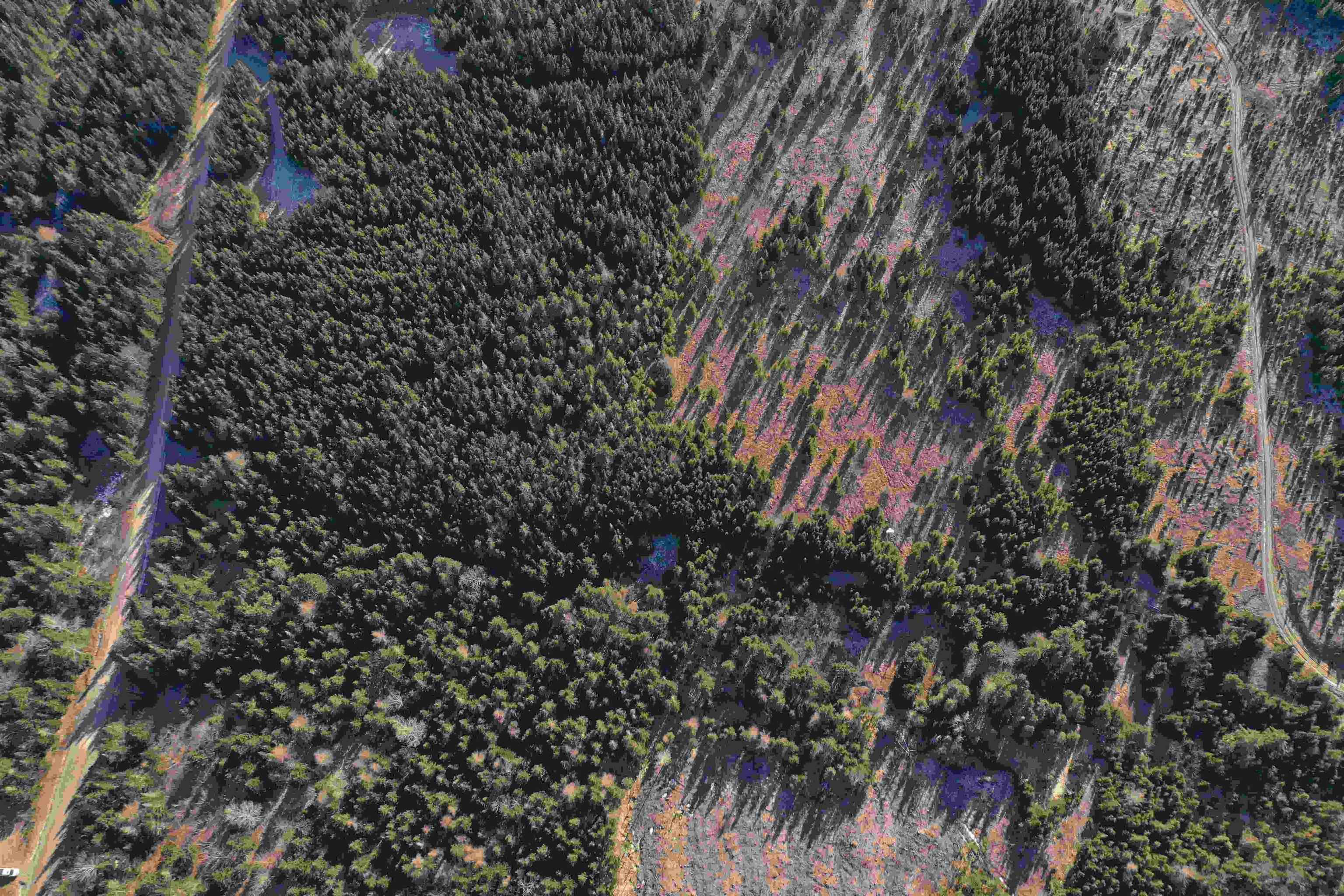 $46,500.00: Old Monastery Road, North Riverside