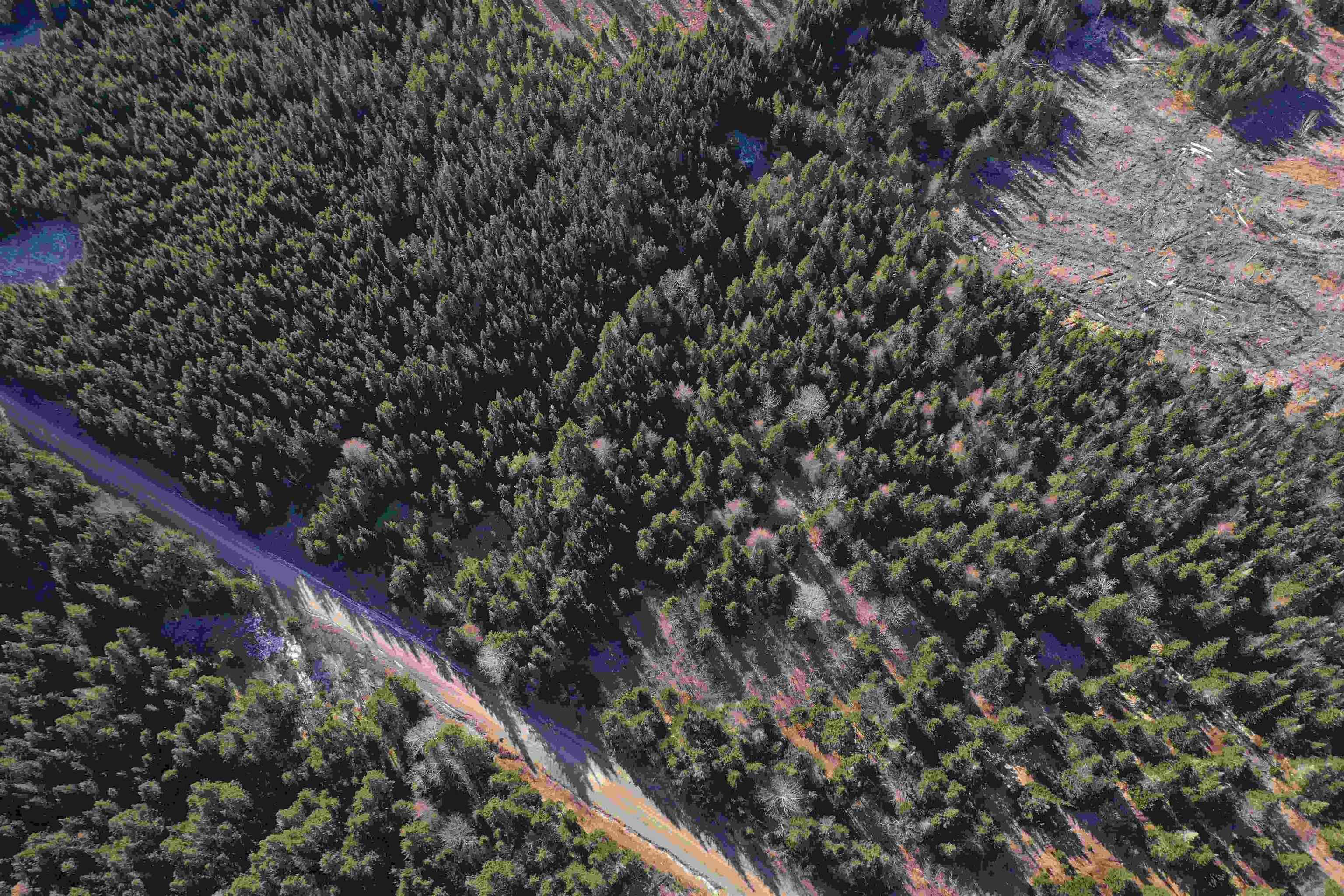 $46,500.00: Old Monastery Road, North Riverside