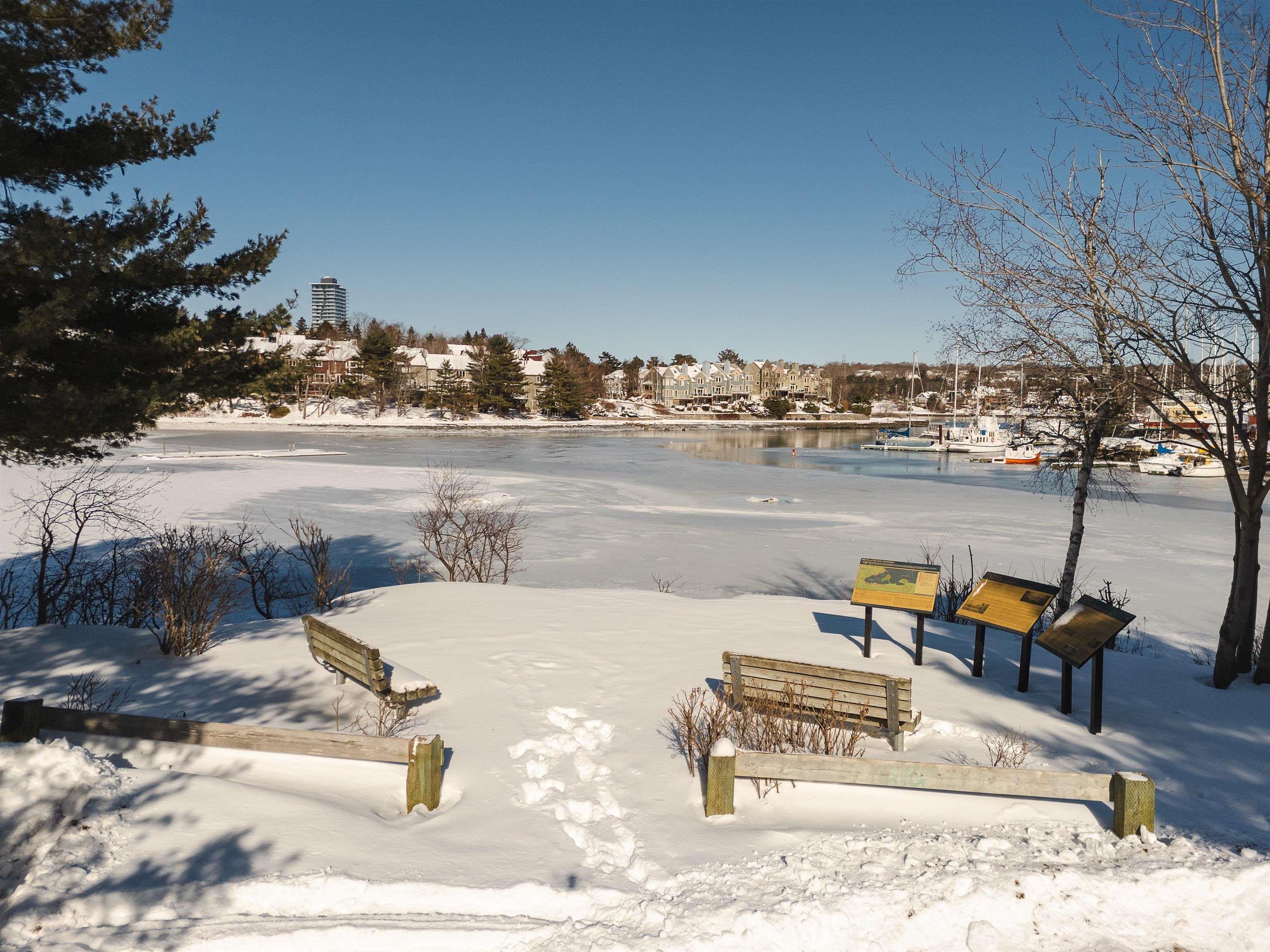 1233 Purcells Cove Road, Halifax, NS (MLS 202602005)