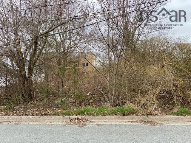 15 Springhill Drive, Dartmouth, NS (MLS 202602012)