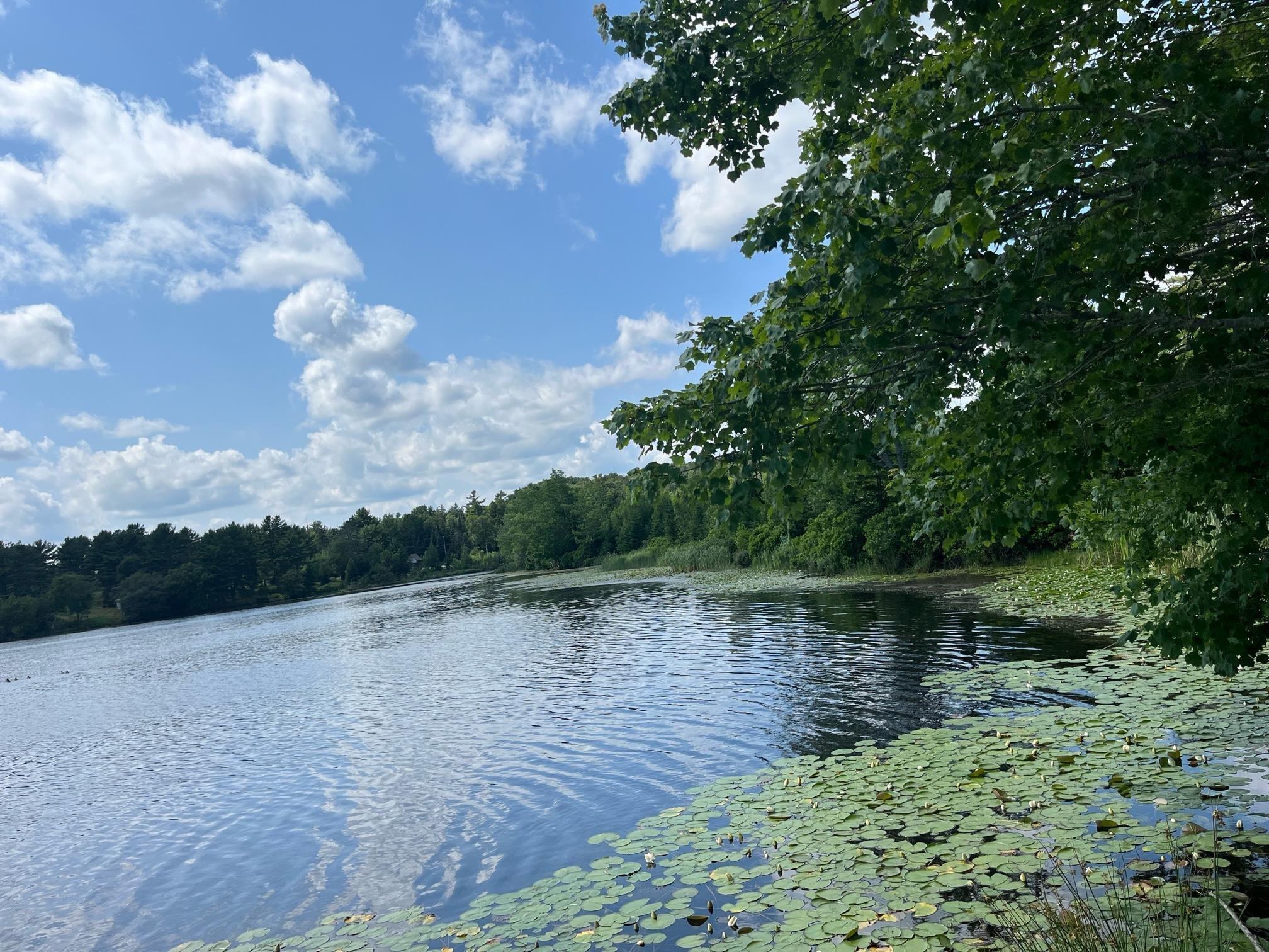 $129,000.00: Lot 8 King Fisher Lane, Masons Beach