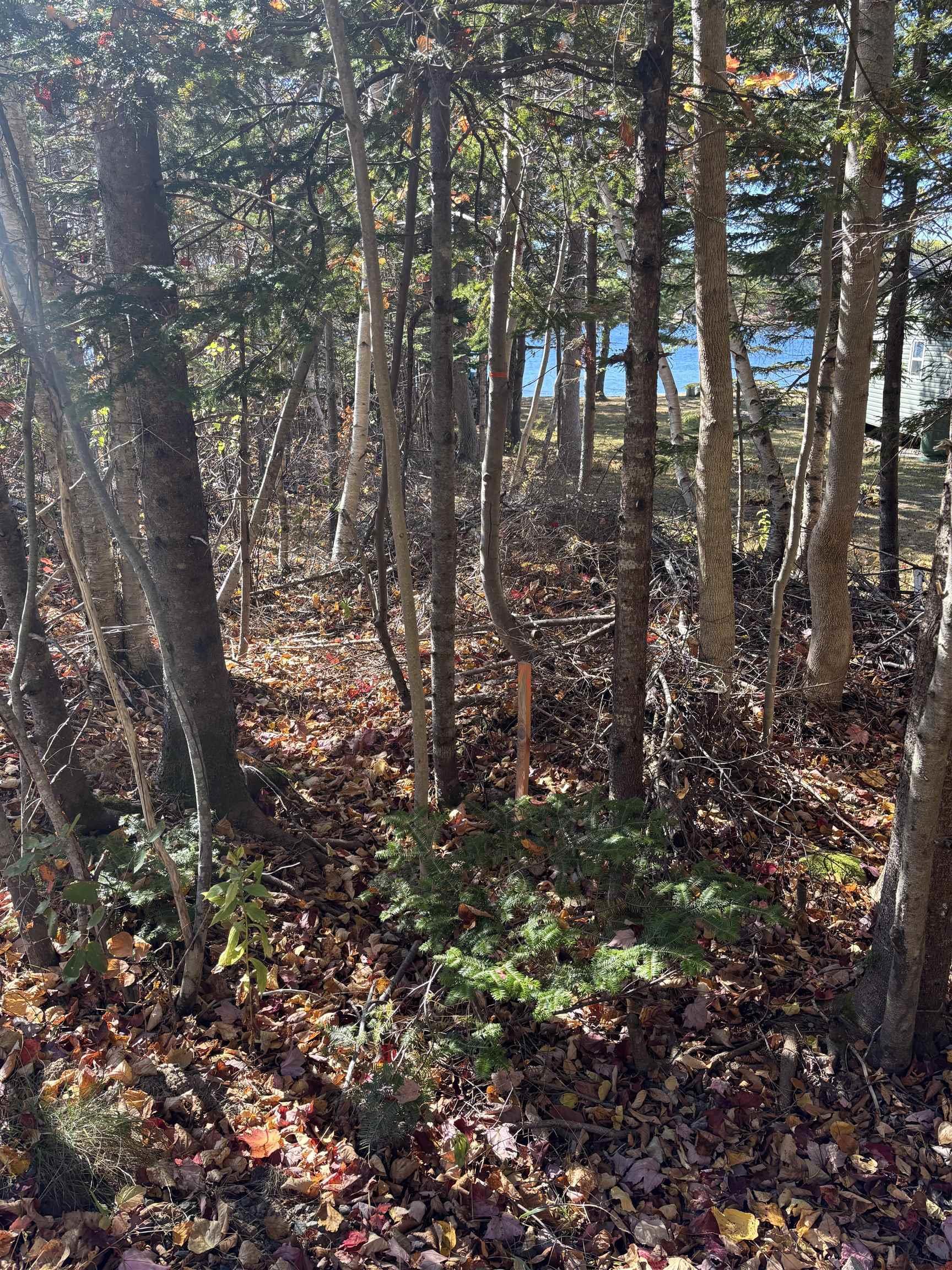 $79,900.00: Lot 56 D Pine Haven Drive, Youngs Cove