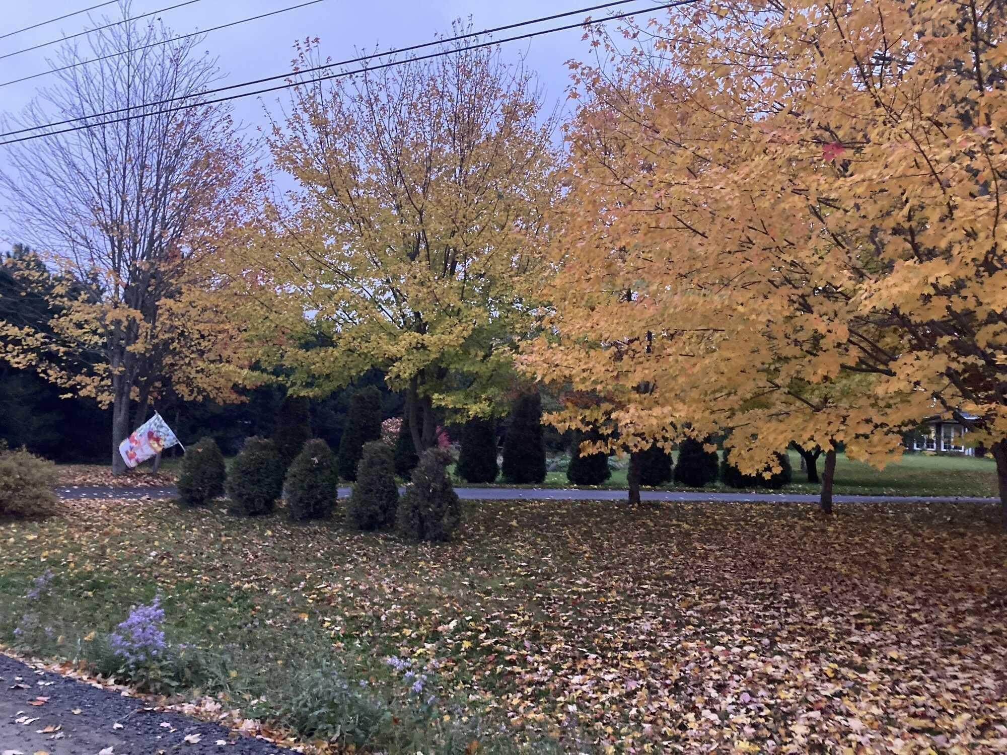 $649,900.00: 2700 Prospect Road, Cambridge