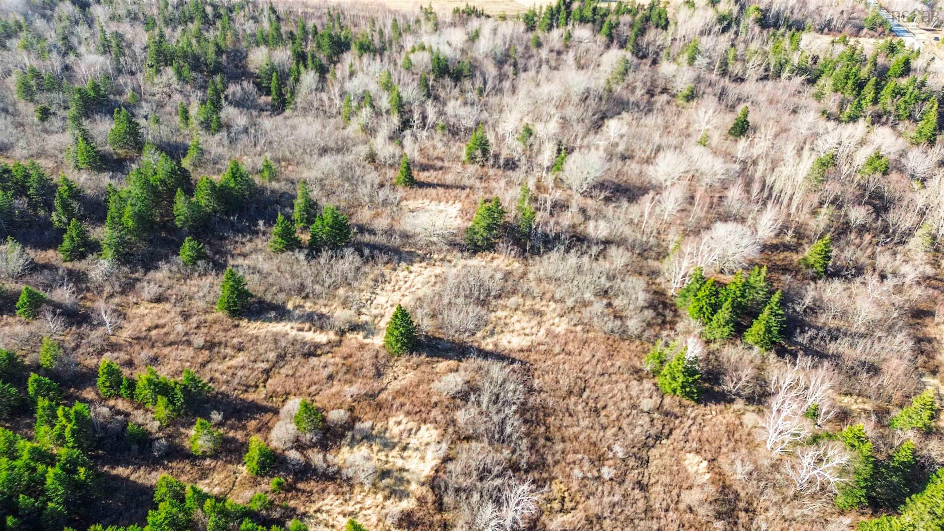 $199,000.00: Lot Brinton Road, Port Lorne