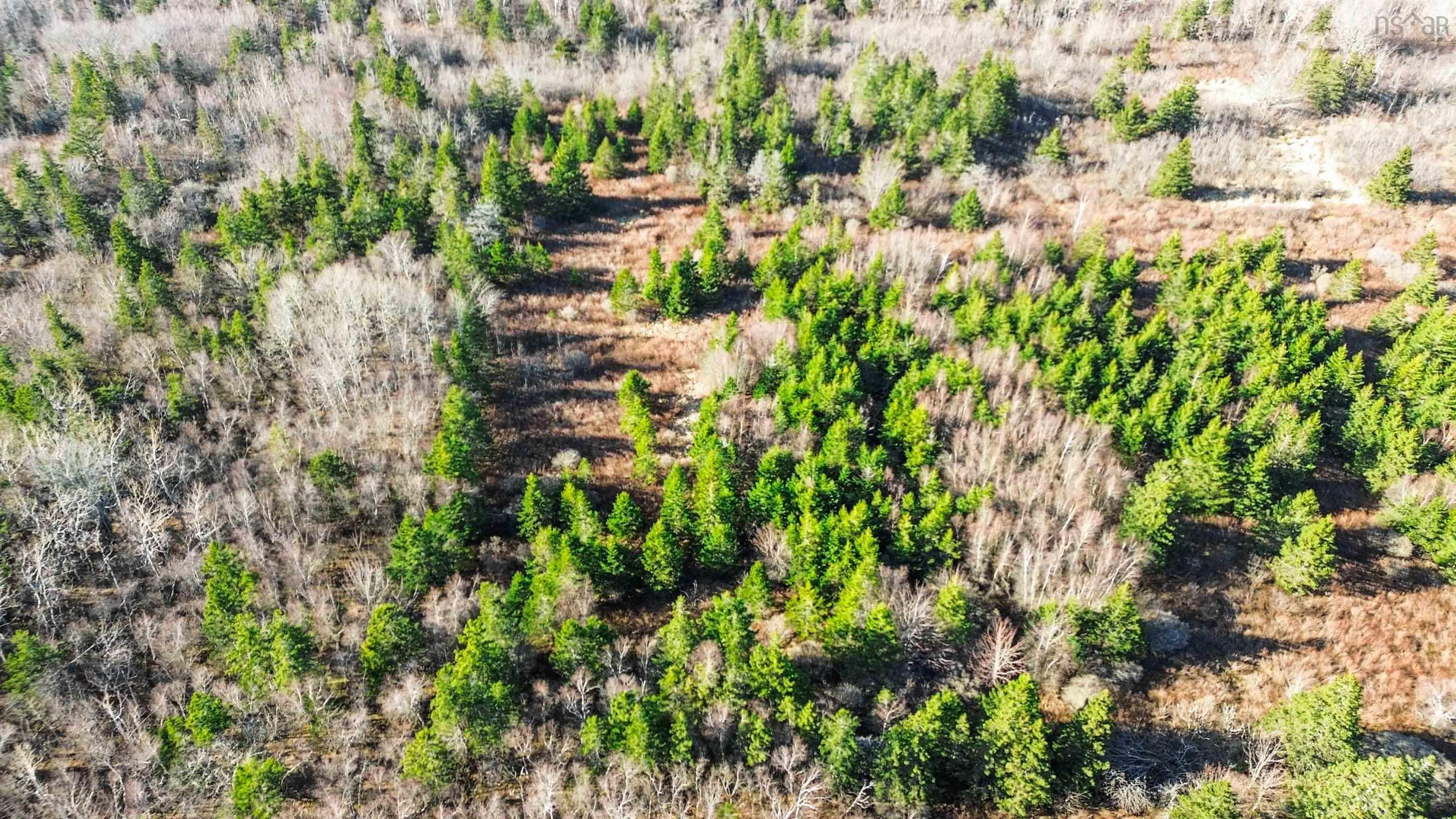 $199,000.00: Lot Brinton Road, Port Lorne