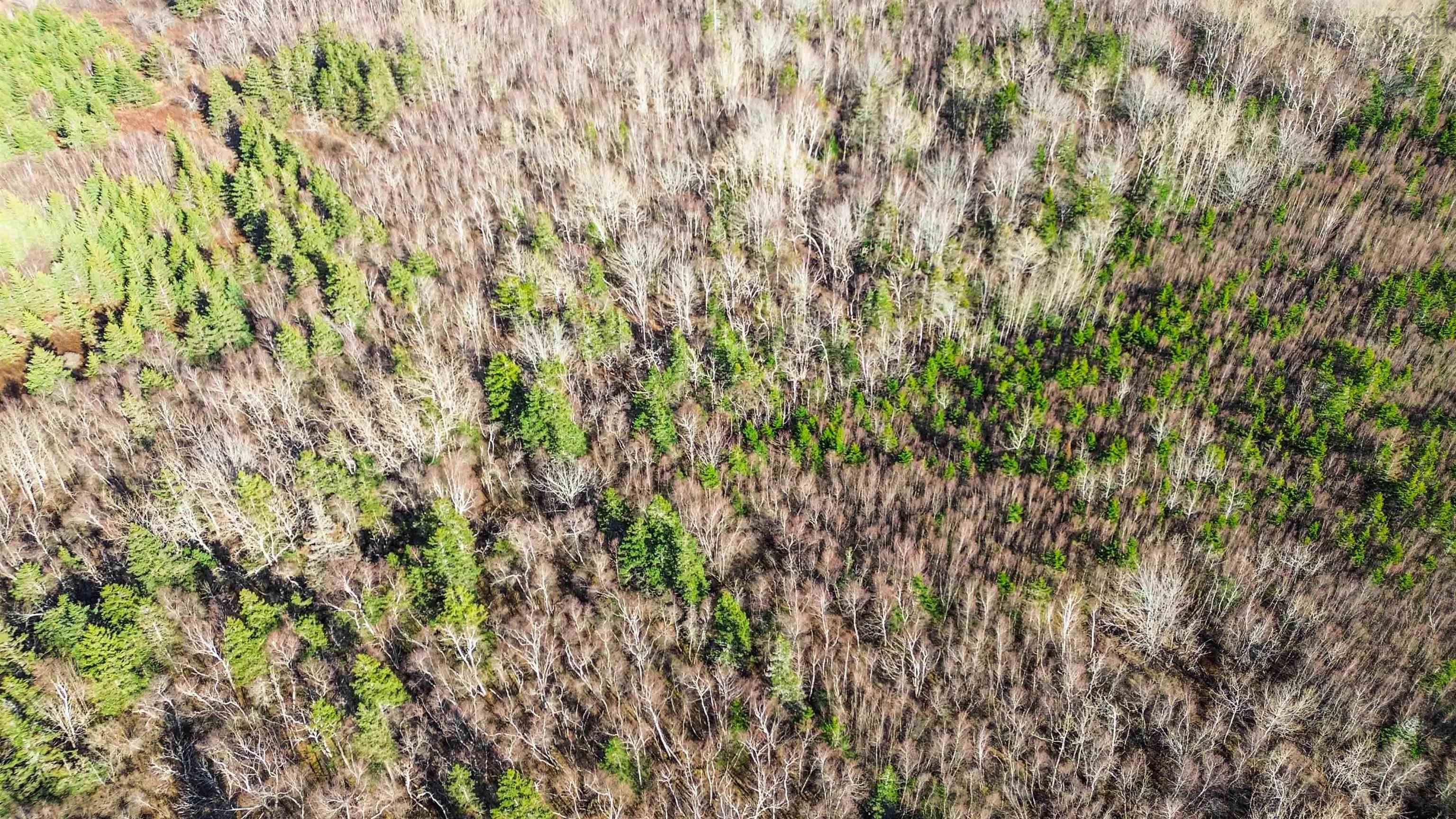 $199,000.00: Lot Brinton Road, Port Lorne