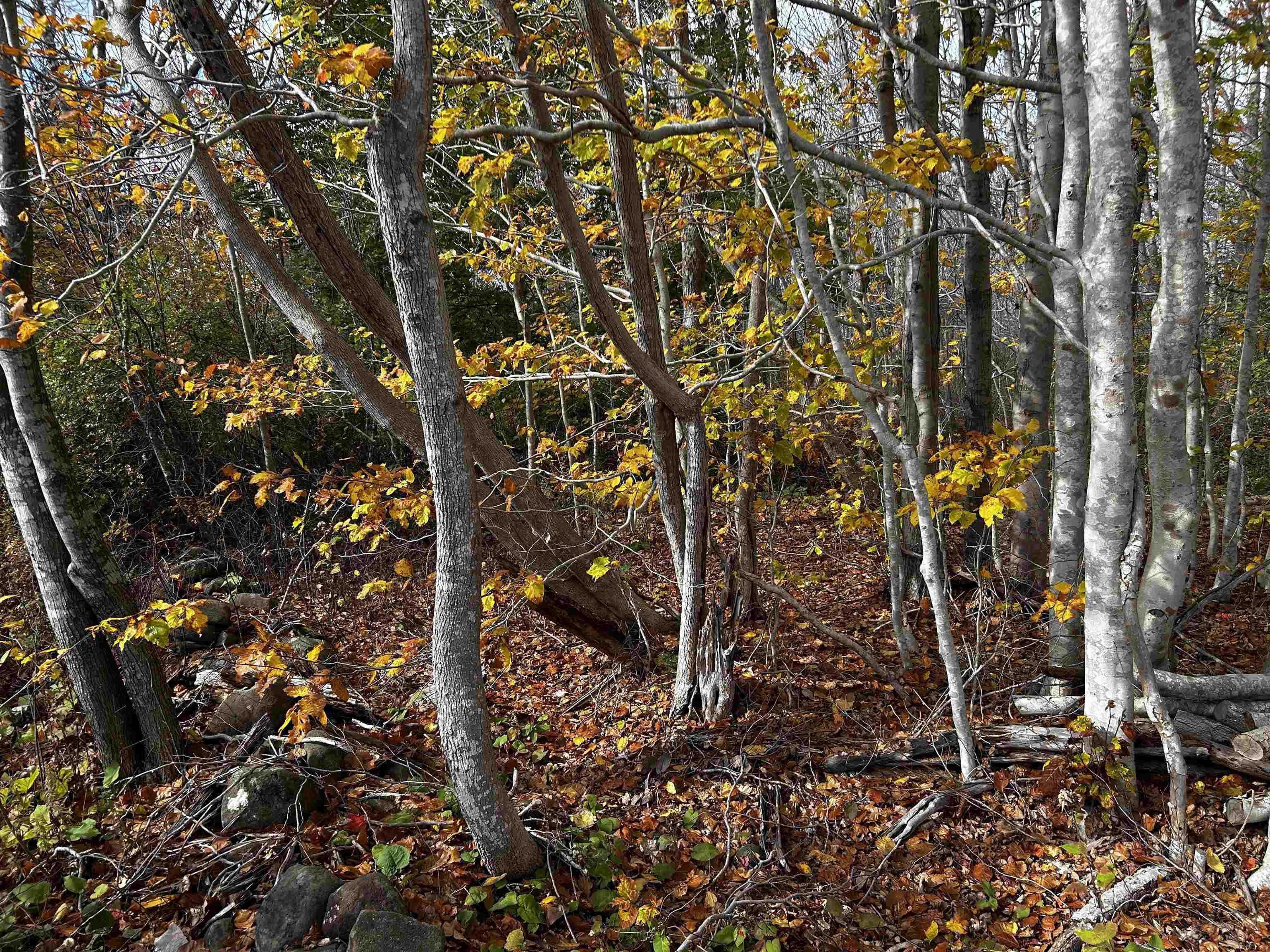 $179,900.00: Lot Granville Road, Karsdale