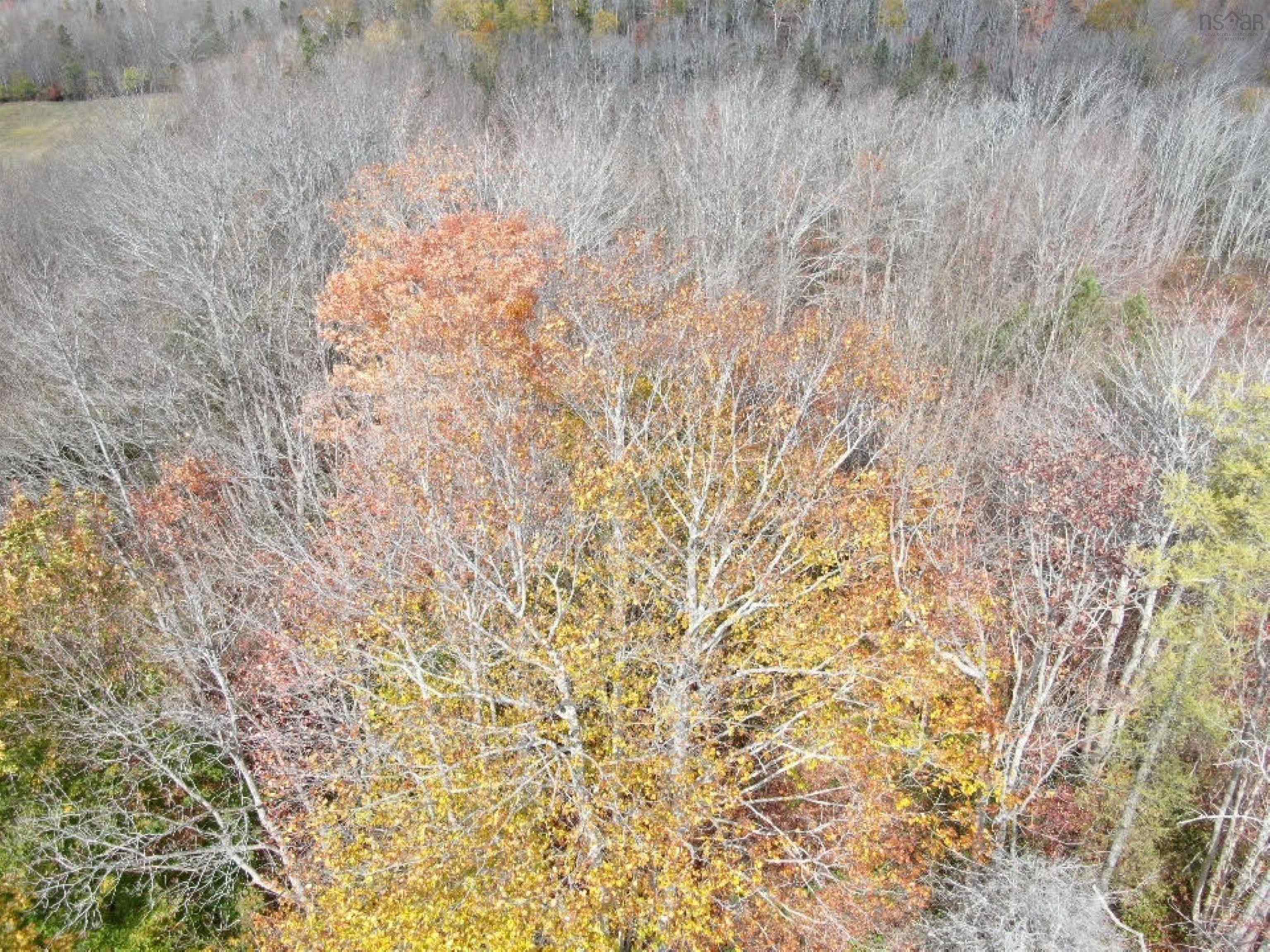 $179,900.00: Lot Granville Road, Karsdale