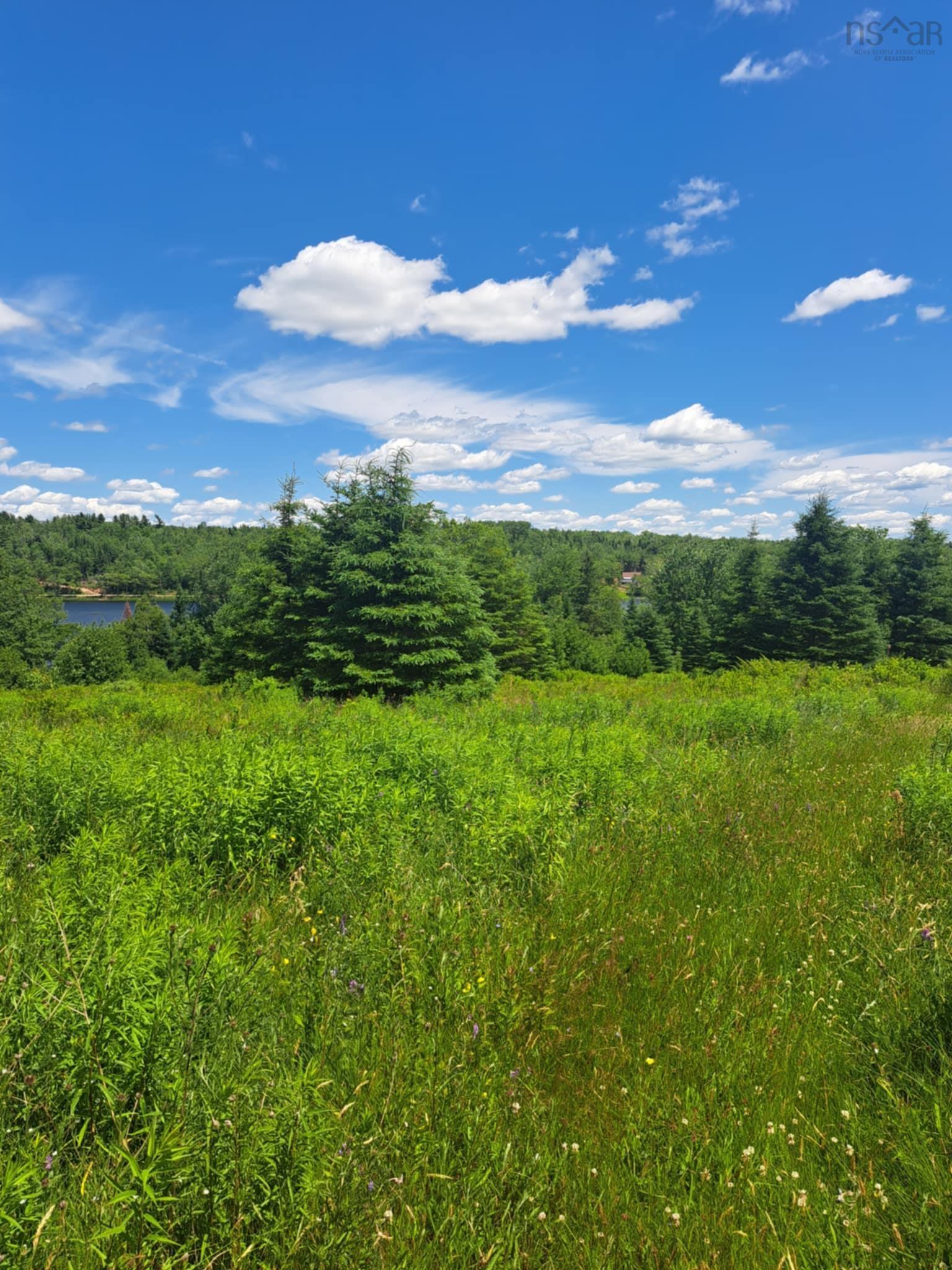 $89,900.00: Lot 2 Lake Egmont Road, Lake Egmont