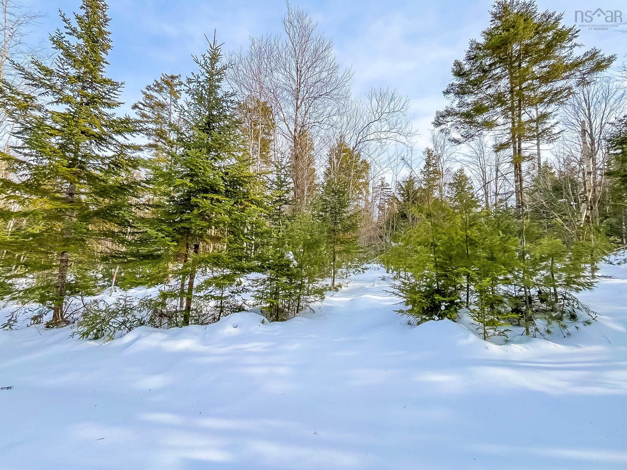 $55,000.00: Lot 8 Conquerall Road, Conquerall Bank