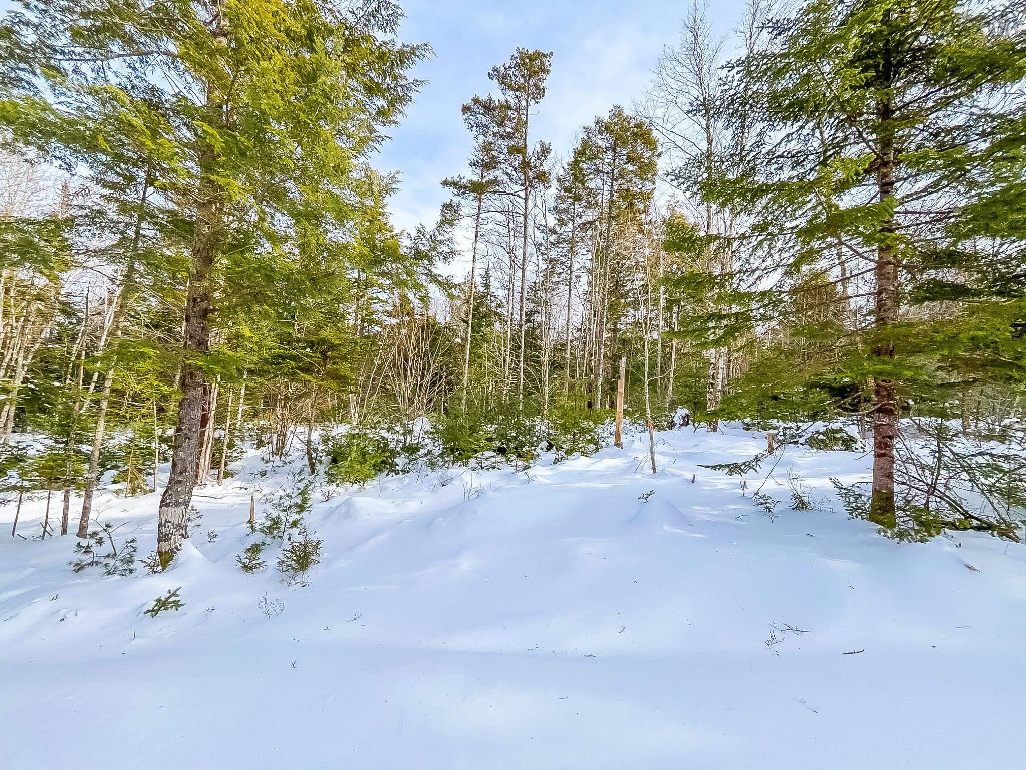 $55,000.00: Lot 8 Conquerall Road, Conquerall Bank