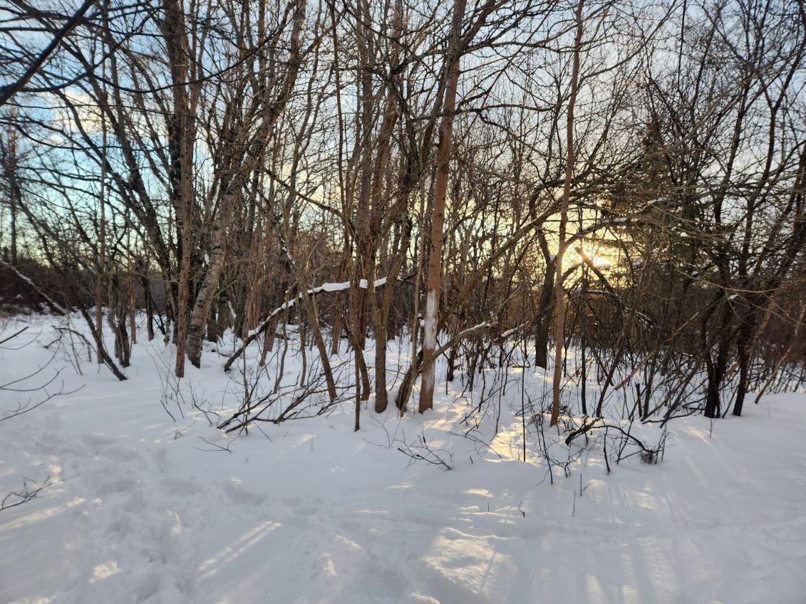 $85,000.00: 8 Acres Cedar Road, Maitland