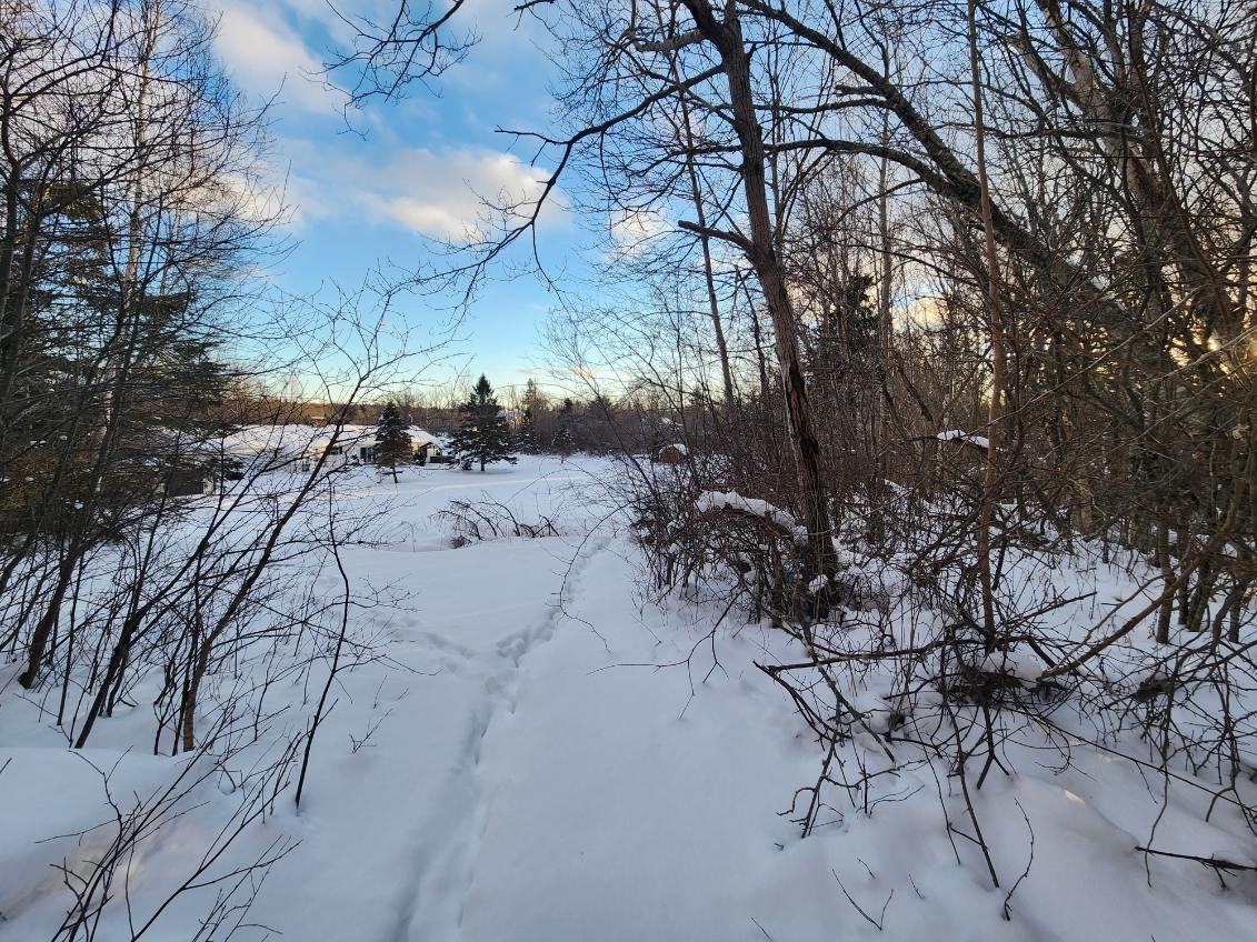 $85,000.00: 8 Acres Cedar Road, Maitland