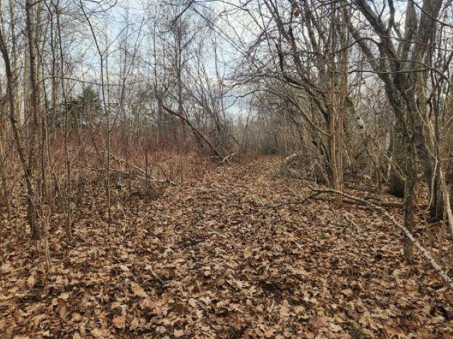 $85,000.00: 8 Acres Cedar Road, Maitland
