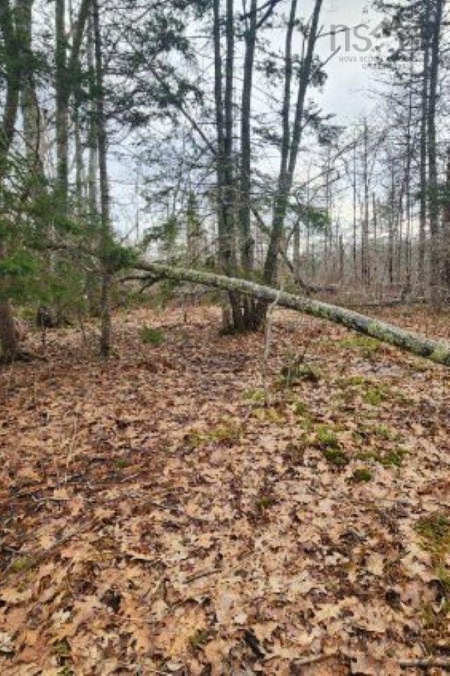 $85,000.00: 8 Acres Cedar Road, Maitland