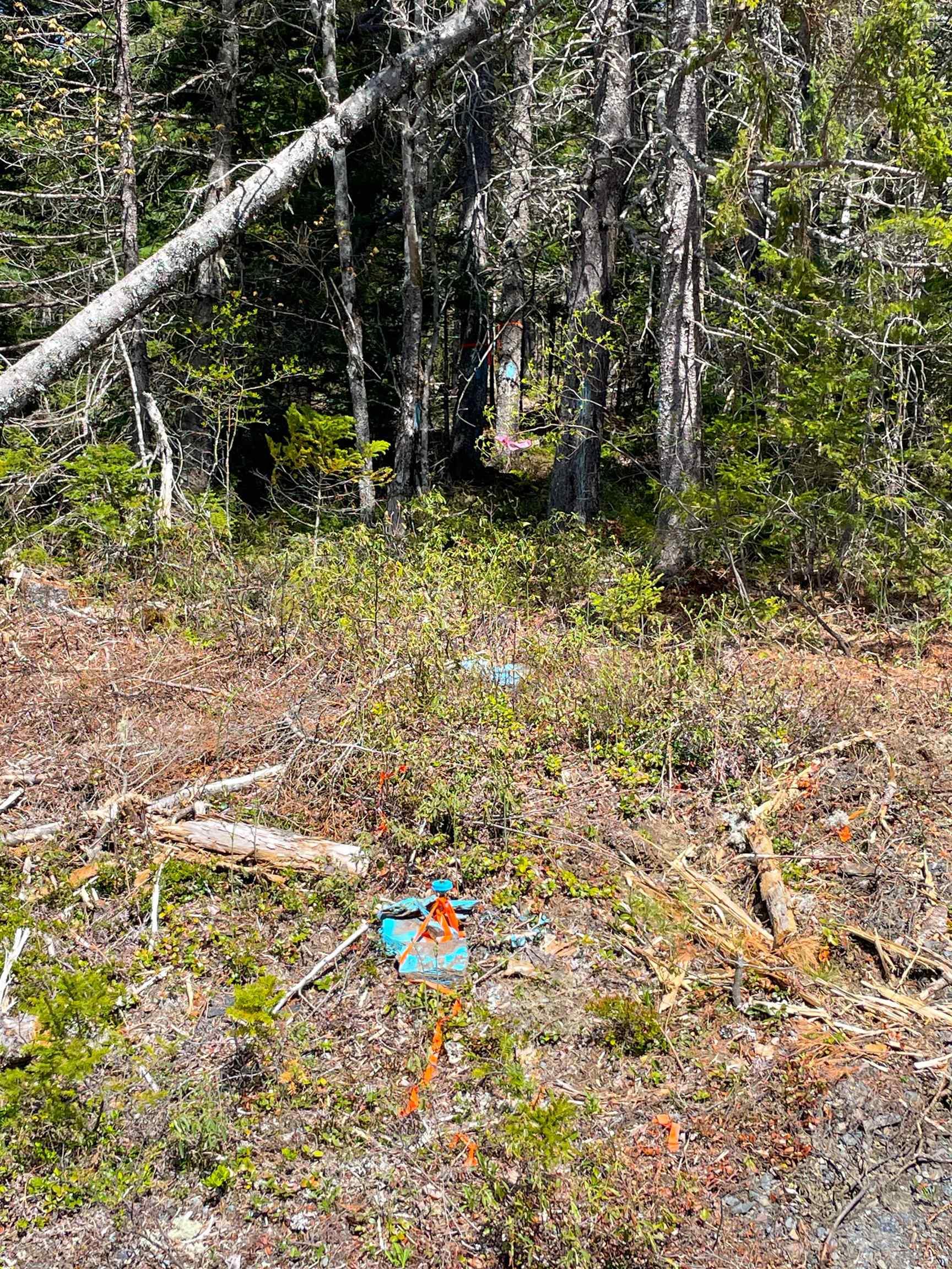 $389,900.00: LOT 6 WATERLOO Road, Waterloo