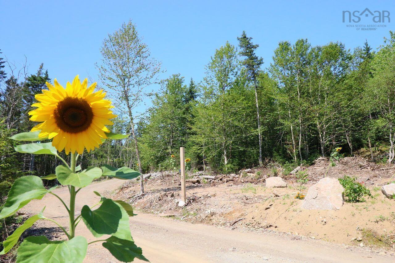 $498,000.00: 235 Condons Lake, Corbetts Cove