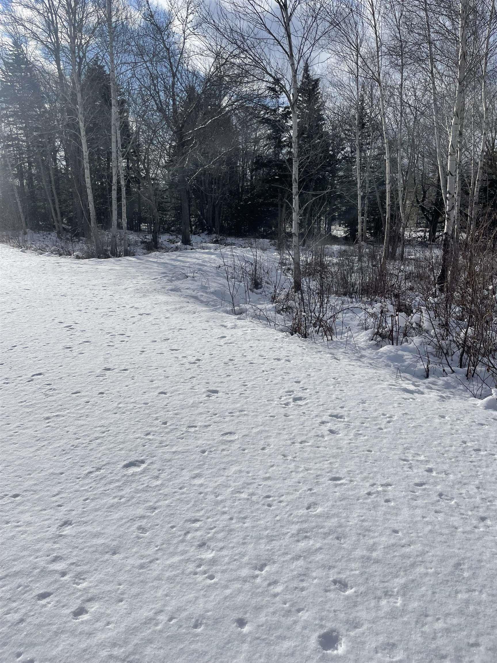 $19,500.00: 847 Patrice Road, Church Point