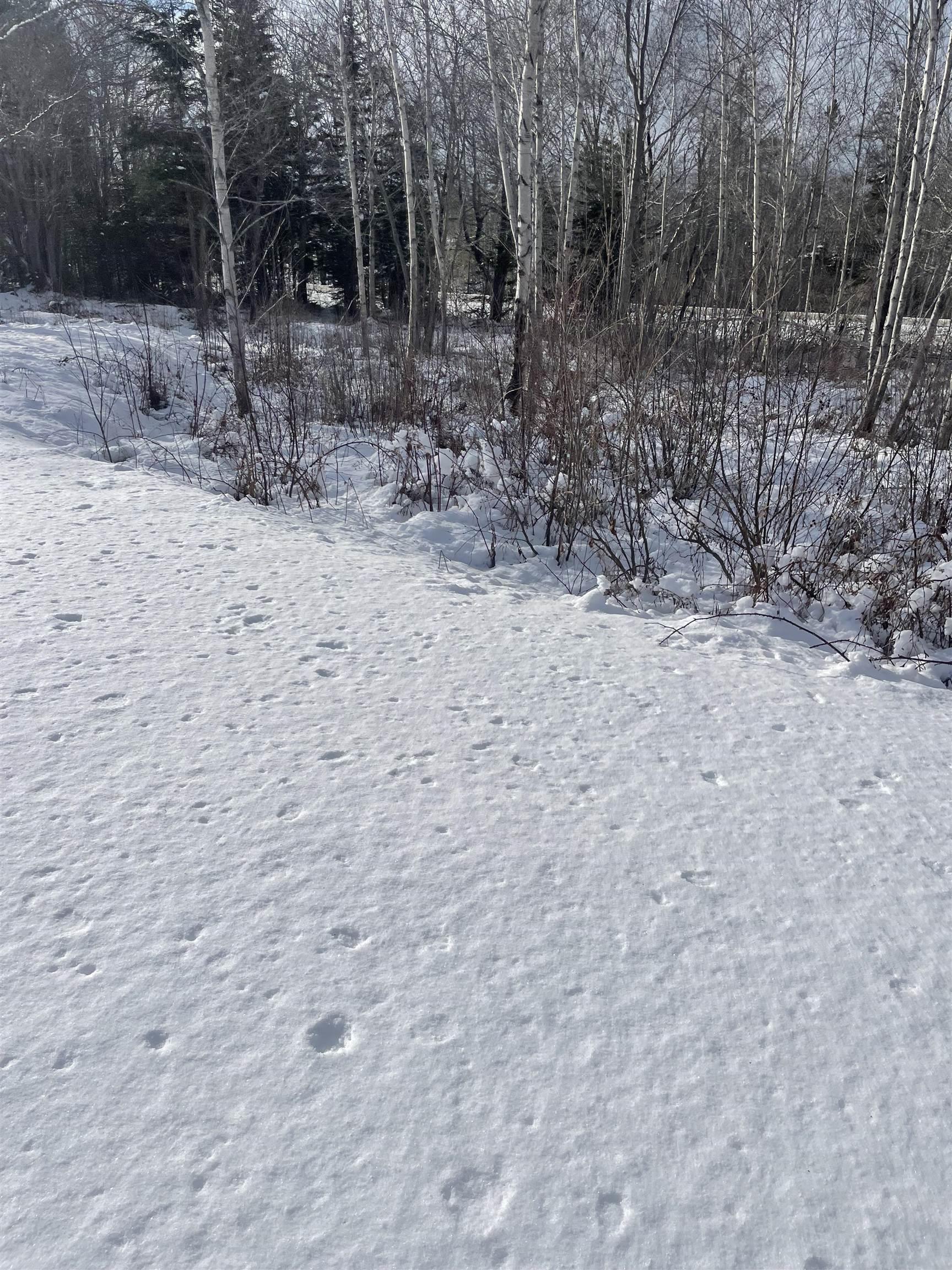 $19,500.00: 847 Patrice Road, Church Point