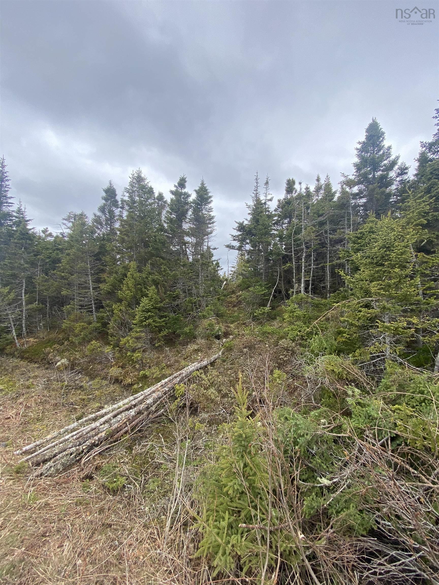 $87,500.00: Lot 87 Wiskubok Crescent, Clam Bay
