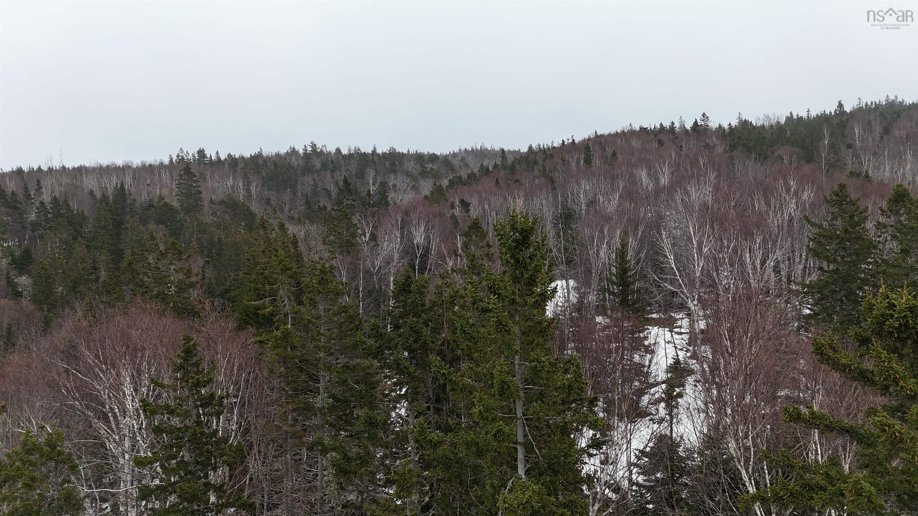 $85,000.00: 29 acres West Bay Highway, St. Georges Channel