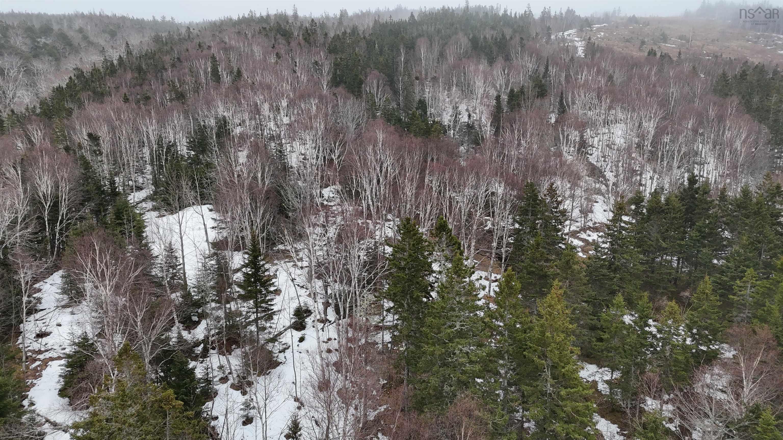 $85,000.00: 29 acres West Bay Highway, St. Georges Channel