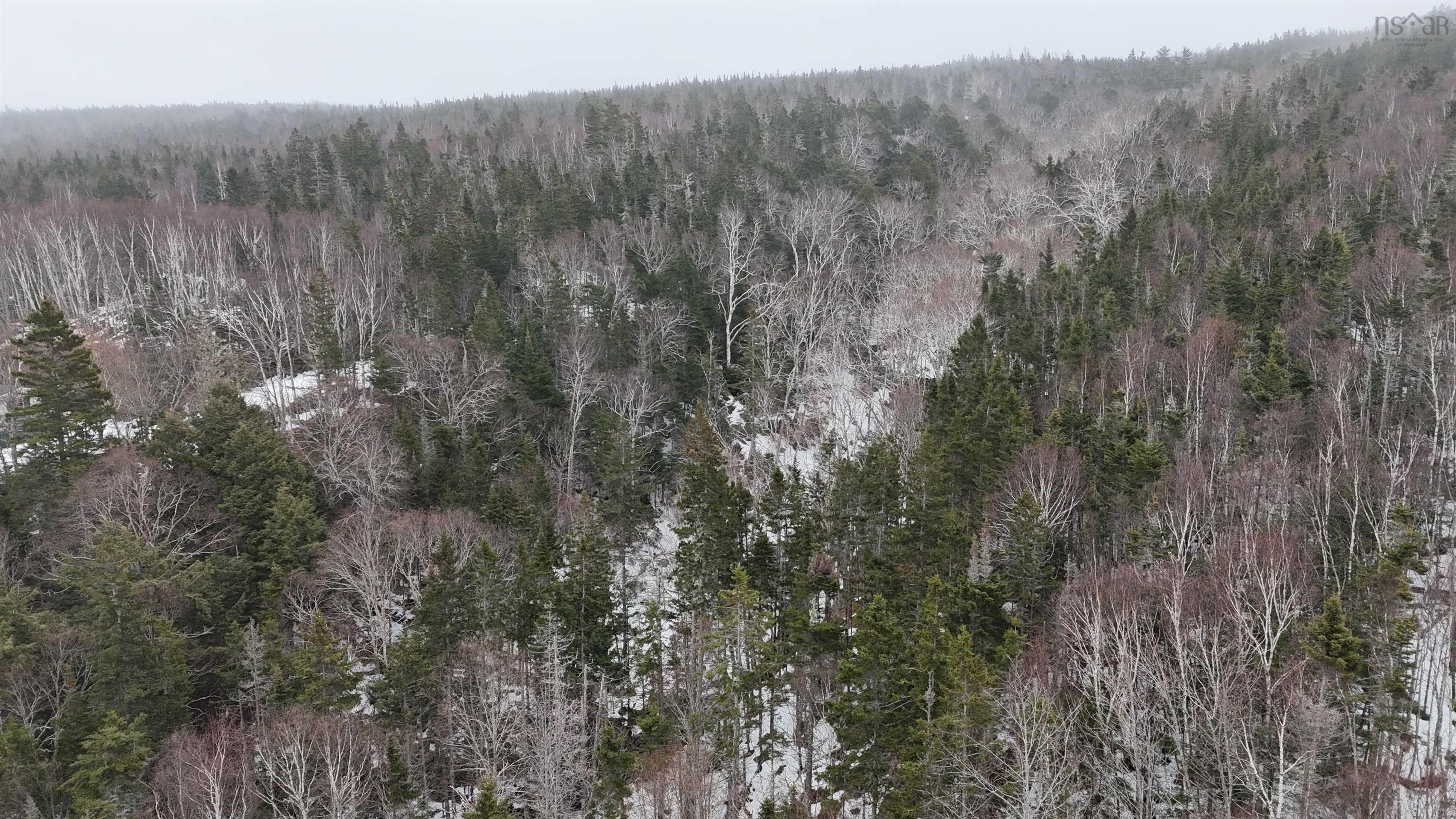 $85,000.00: 29 acres West Bay Highway, St. Georges Channel