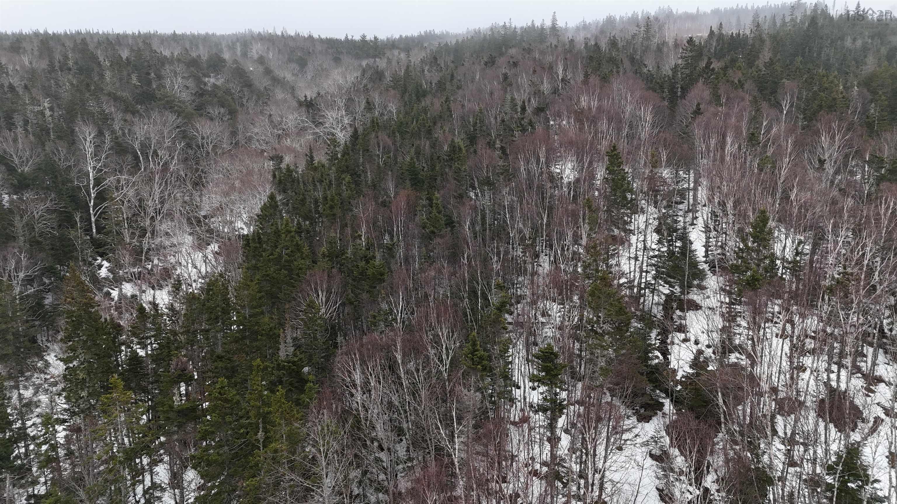 $85,000.00: 29 acres West Bay Highway, St. Georges Channel