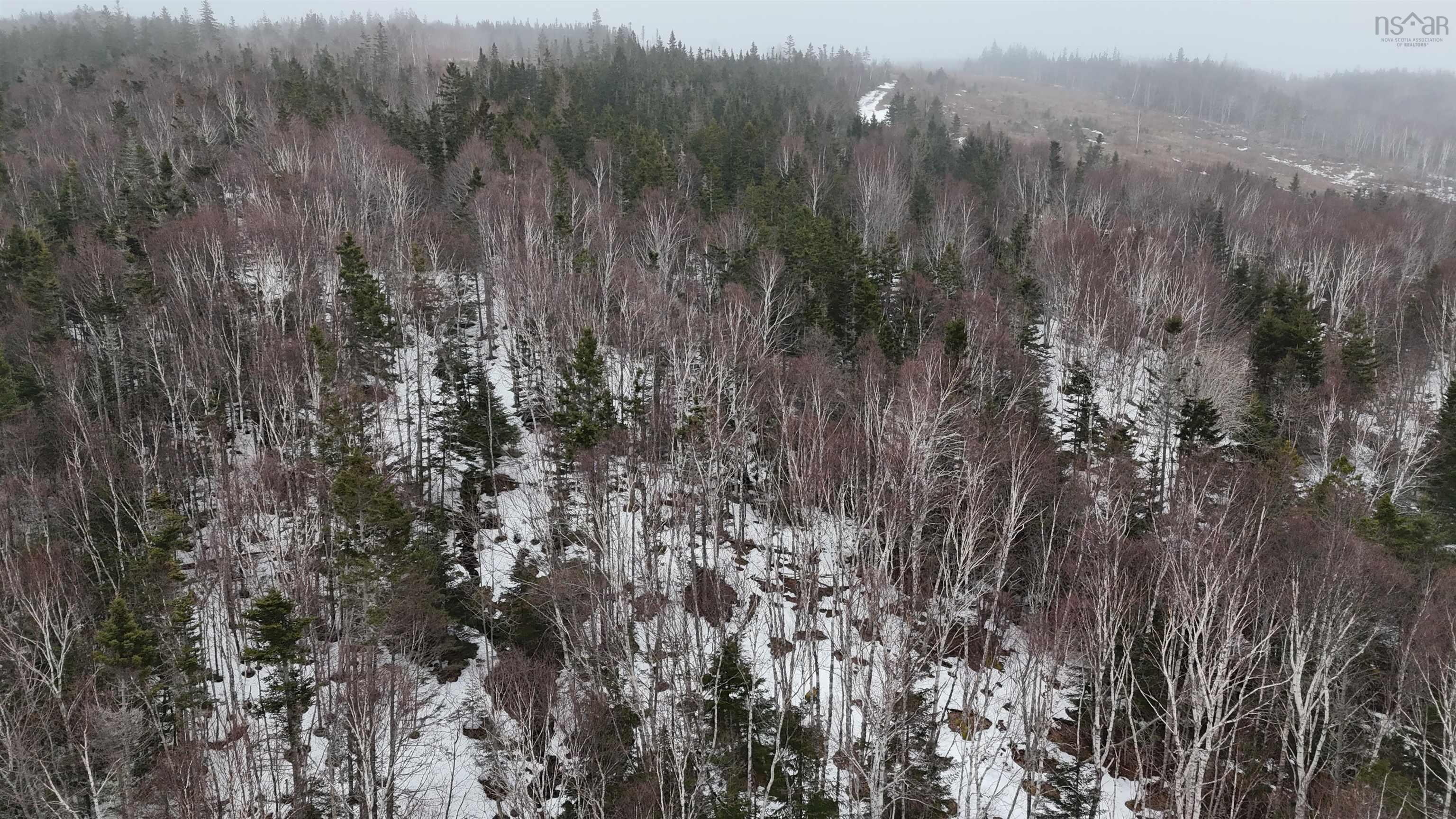 $85,000.00: 29 acres West Bay Highway, St. Georges Channel