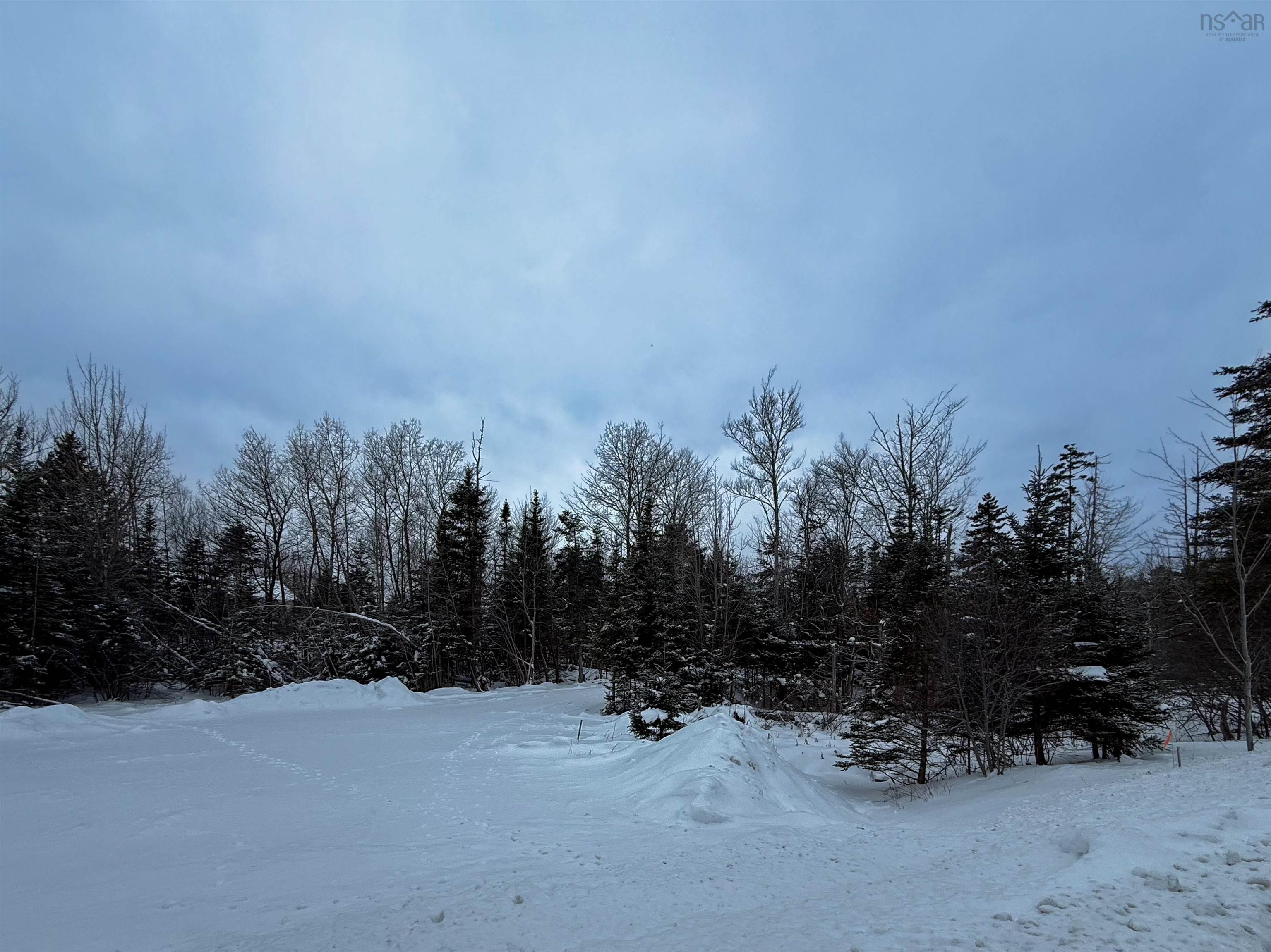 $160,000.00: lot 154-156 Old Court House Branch, Bible Hill