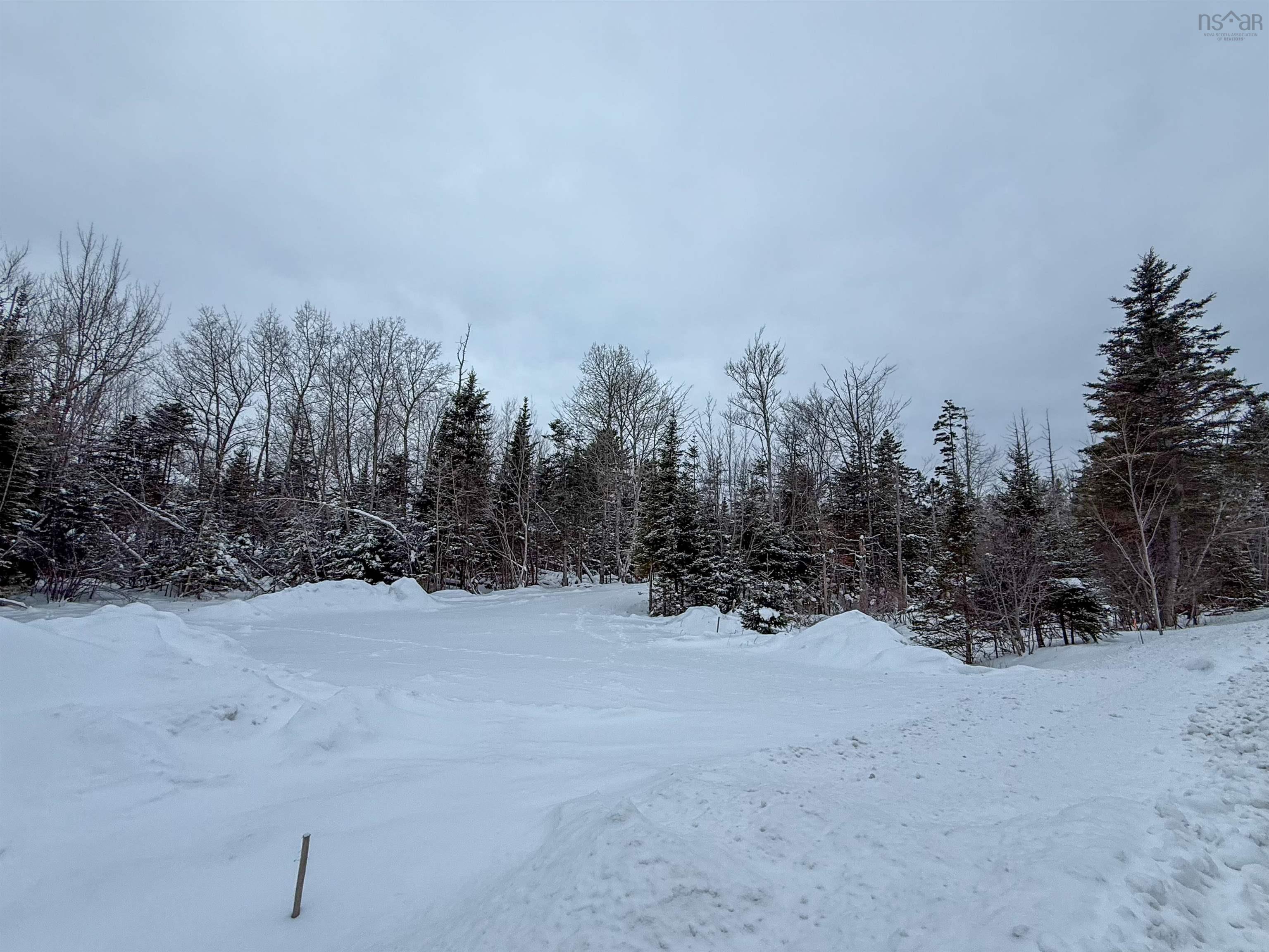 $160,000.00: lot 154-156 Old Court House Branch, Bible Hill