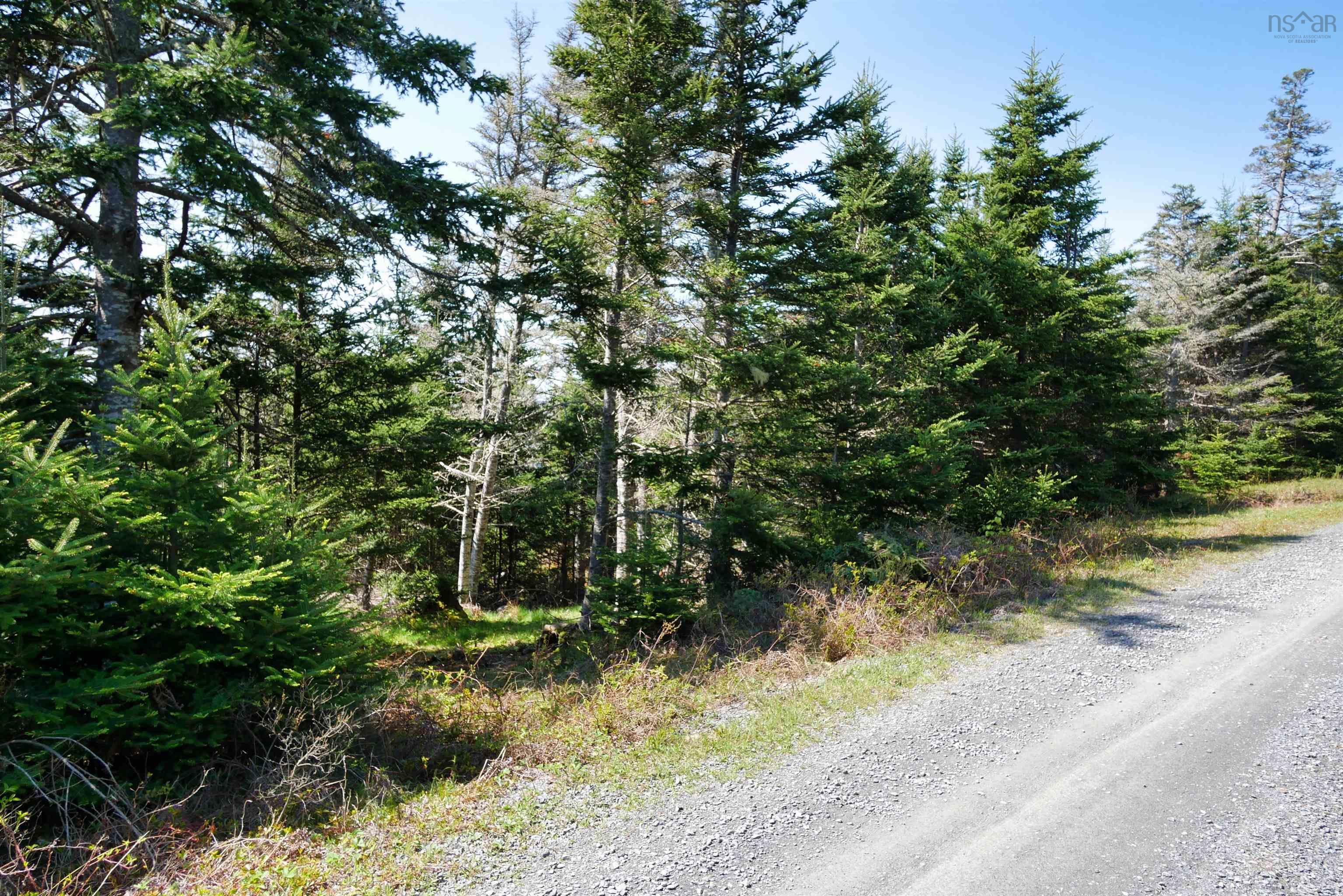 $199,000.00: Lot 101 Feltzen South Road, Feltzen South