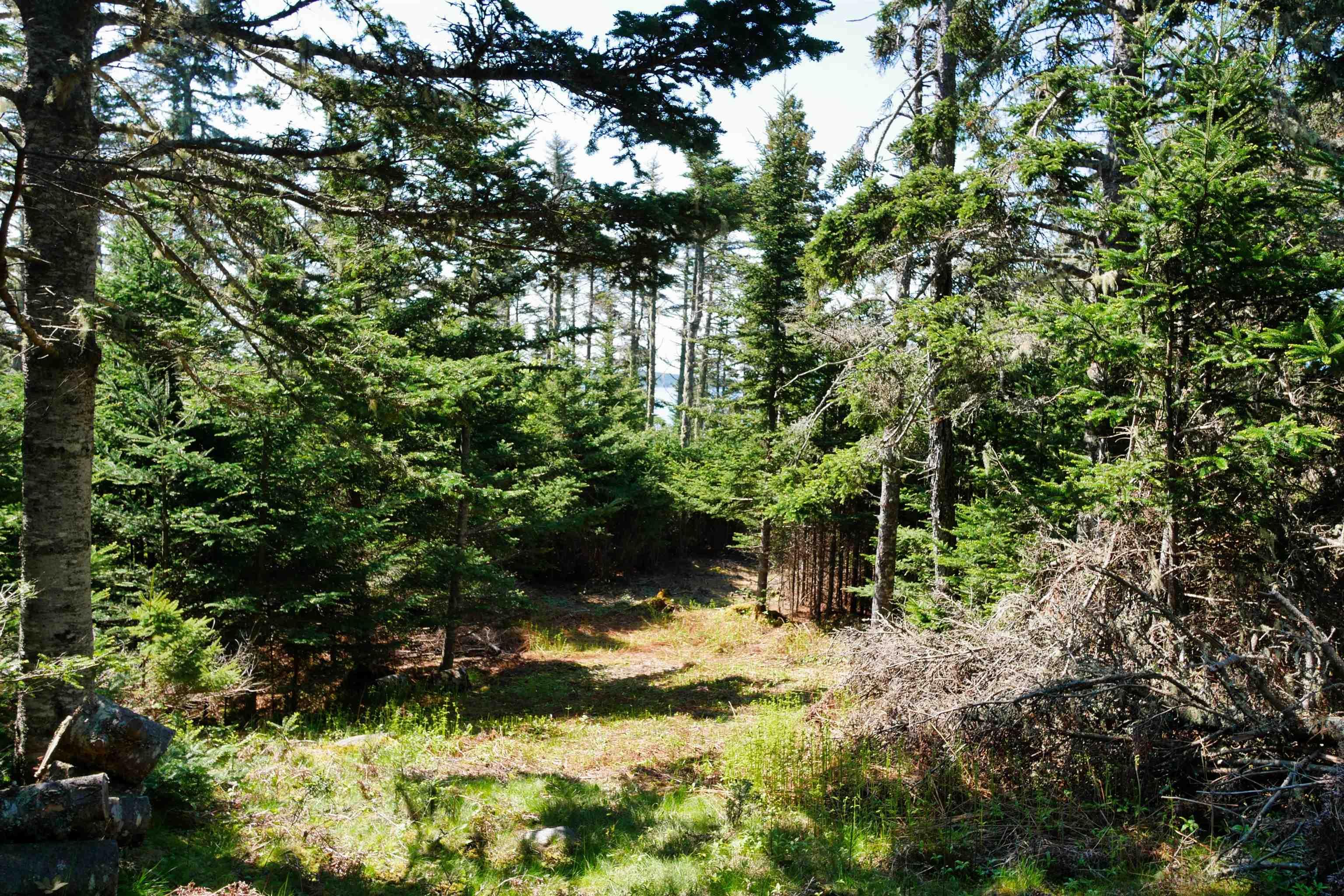 $199,000.00: Lot 101 Feltzen South Road, Feltzen South