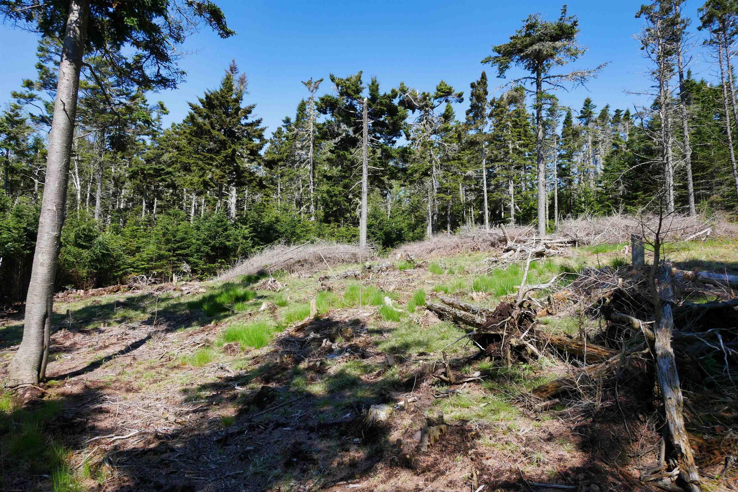 $199,000.00: Lot 101 Feltzen South Road, Feltzen South