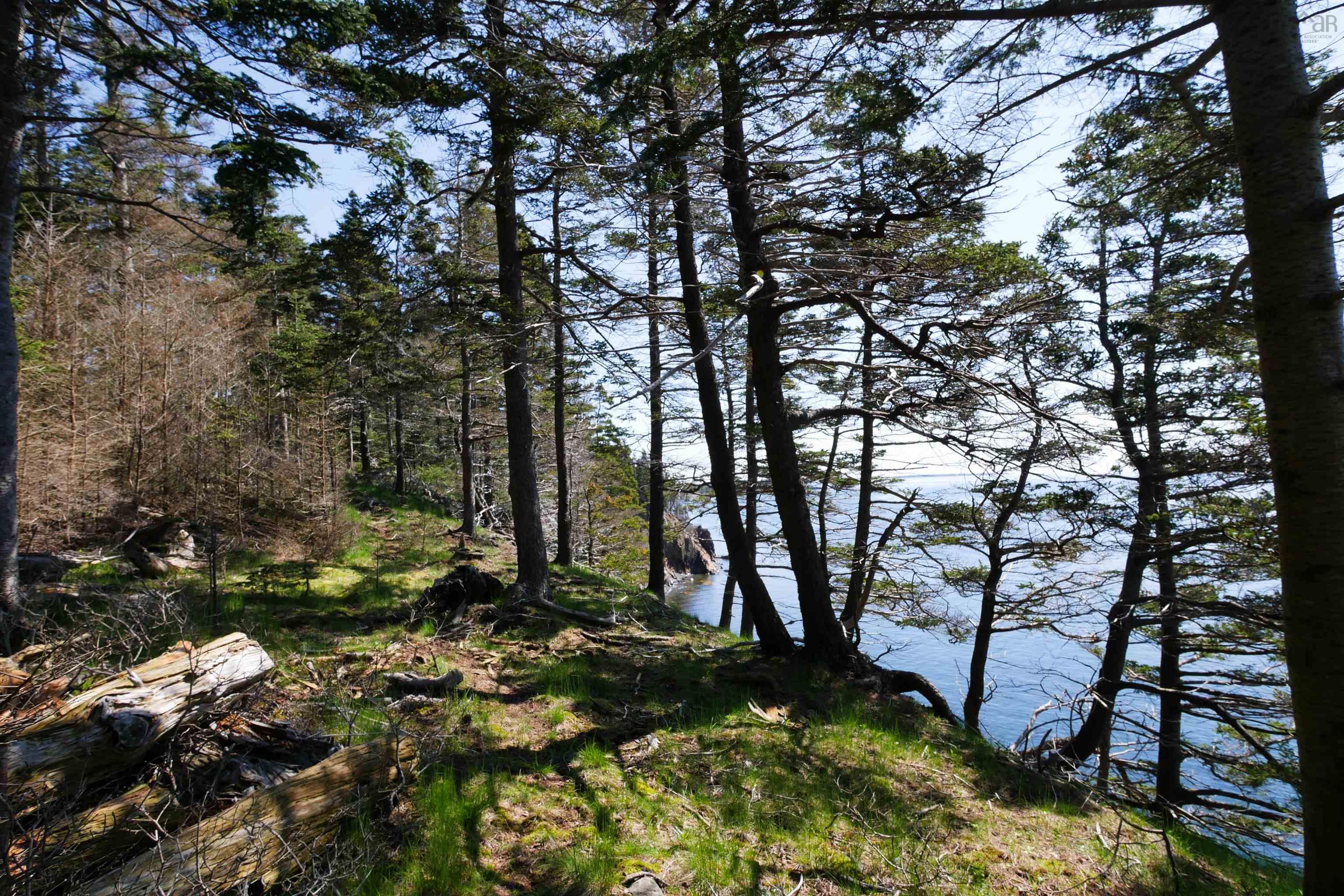 $199,000.00: Lot 101 Feltzen South Road, Feltzen South