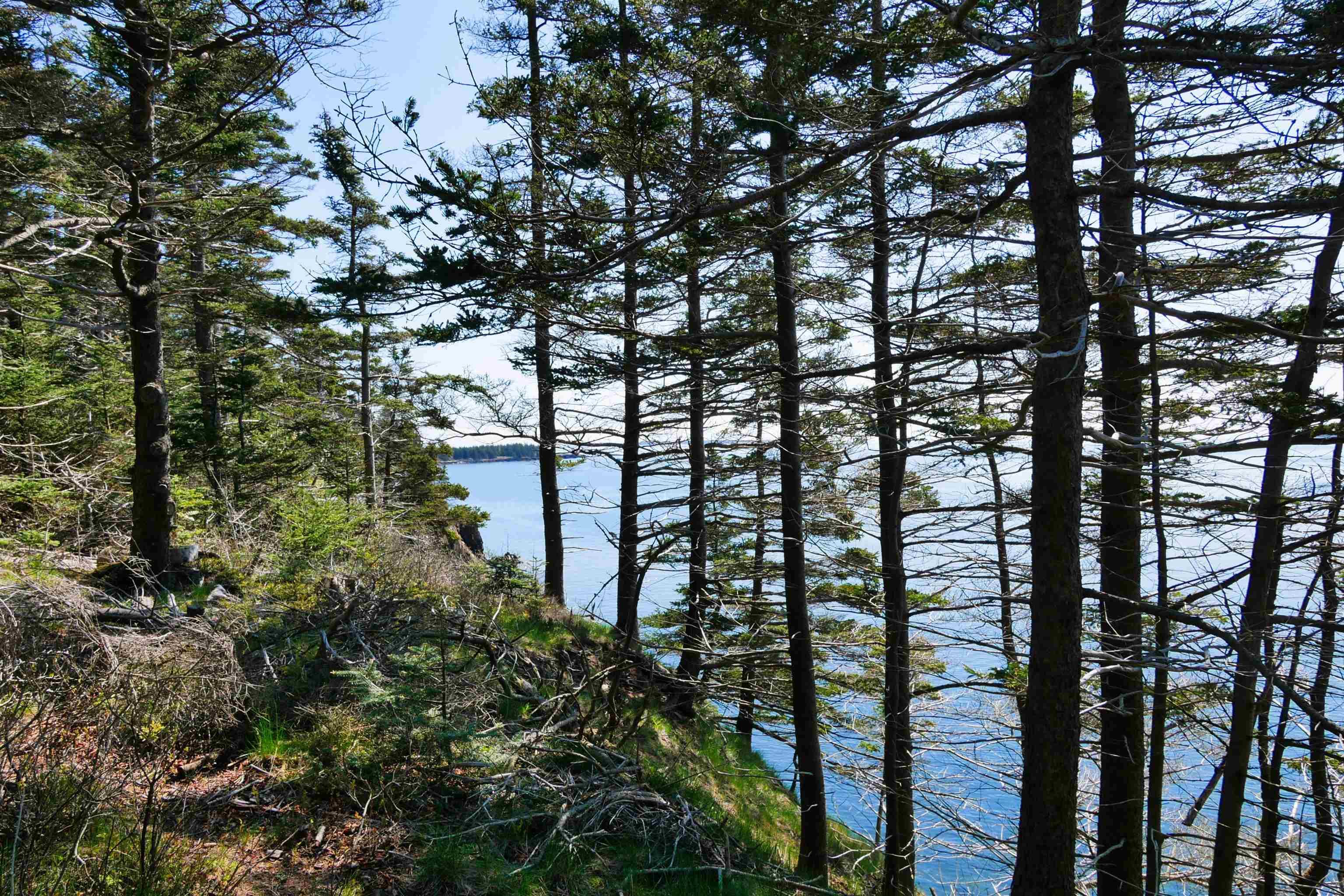 $199,000.00: Lot 101 Feltzen South Road, Feltzen South