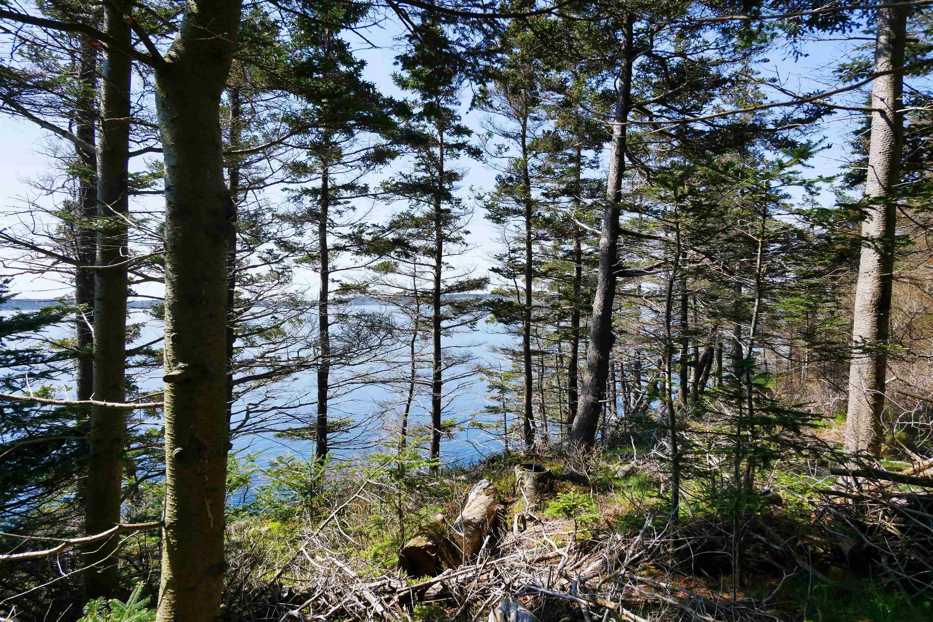 $199,000.00: Lot 101 Feltzen South Road, Feltzen South