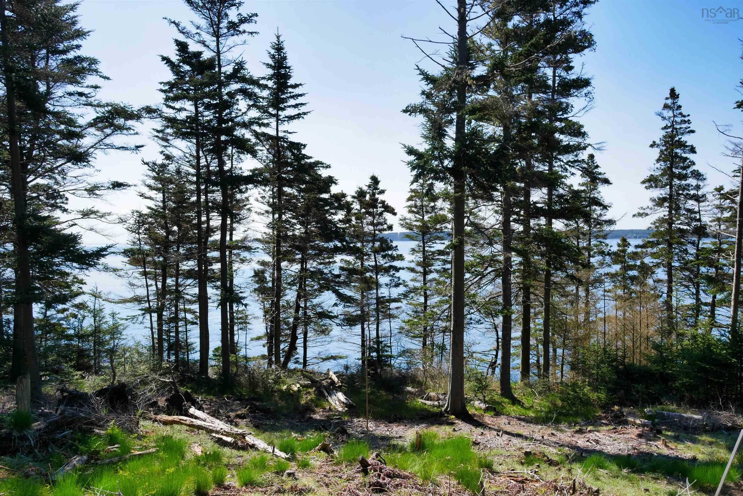 $199,000.00: Lot 101 Feltzen South Road, Feltzen South