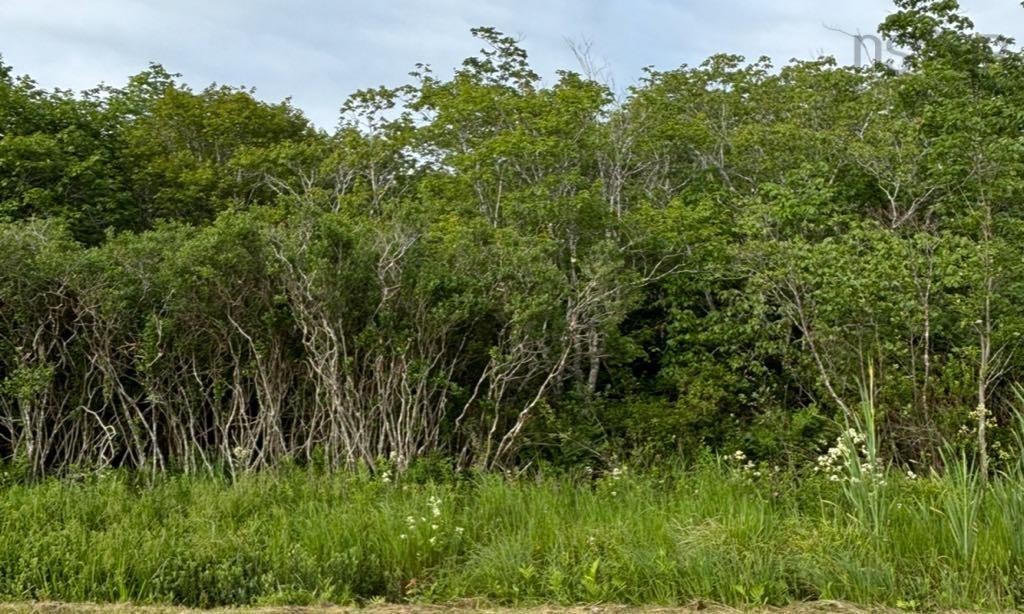 Highway 1, Church Point, NS (MLS® 202602250)