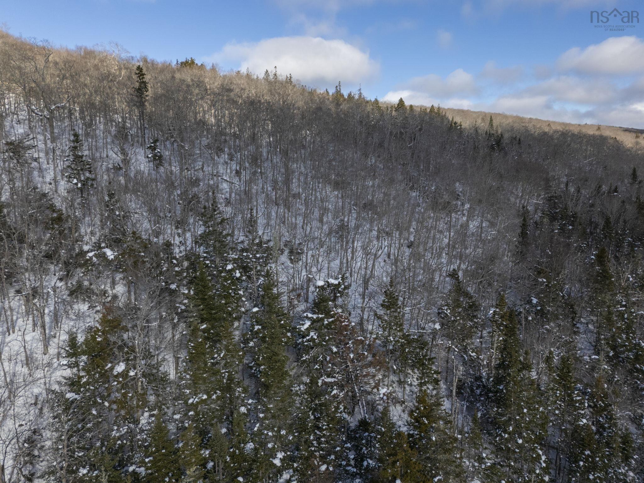 $150,000.00: Lot Mckenzie Mountain Road, Port Royal