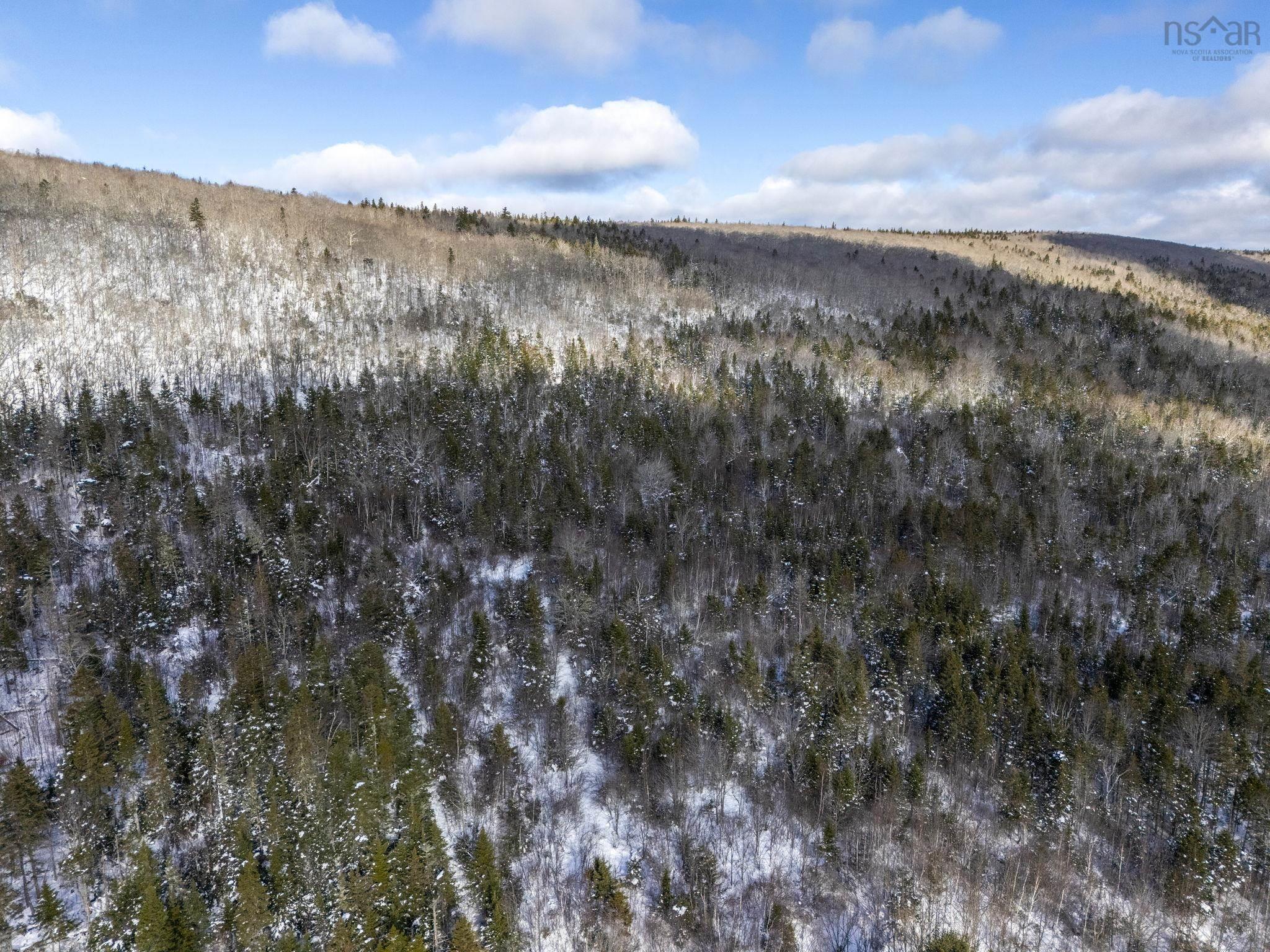 $150,000.00: Lot Mckenzie Mountain Road, Port Royal