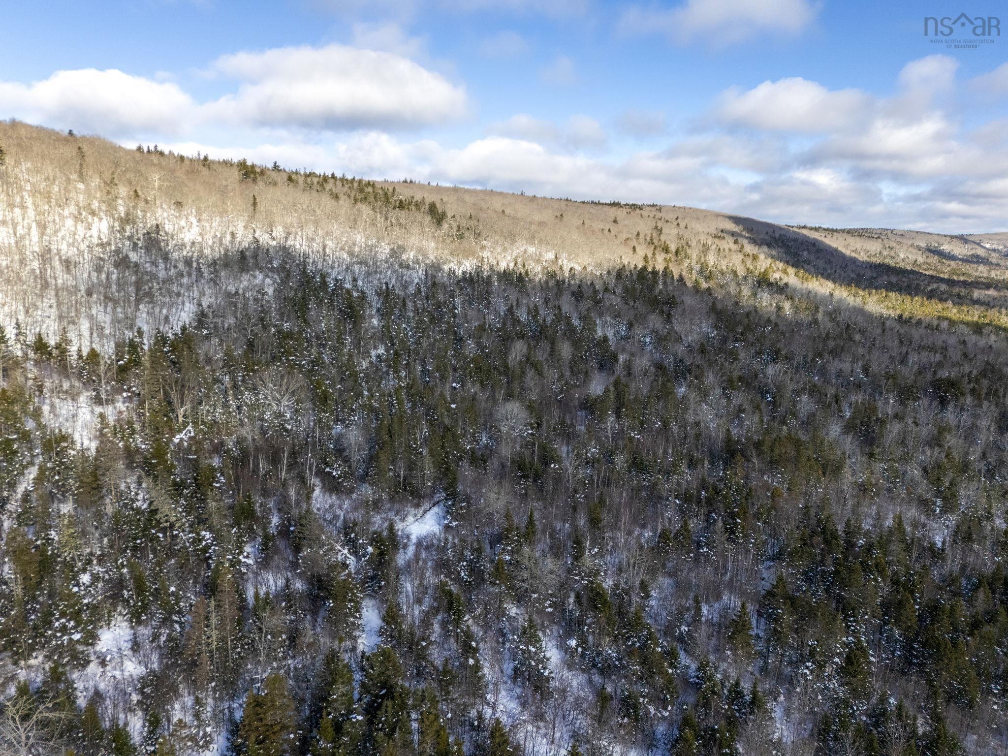 $150,000.00: Lot Mckenzie Mountain Road, Port Royal